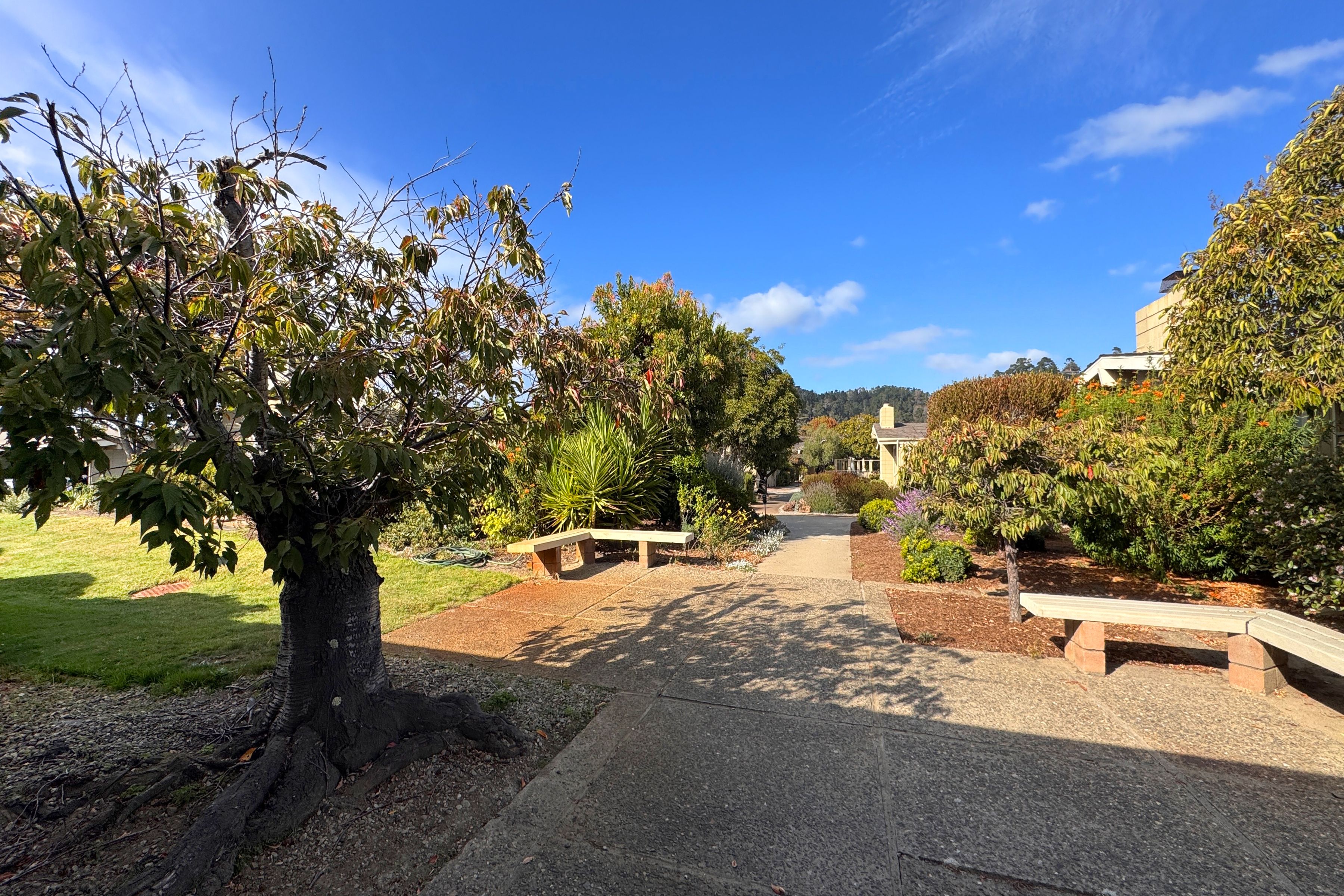  253 Hacienda Carmel - 物件實景
