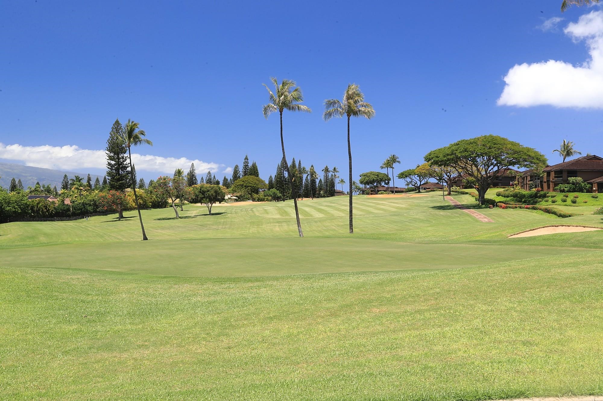 Lahaina, Hawaii, 96761, United States, ,Land,For Sale,1895971