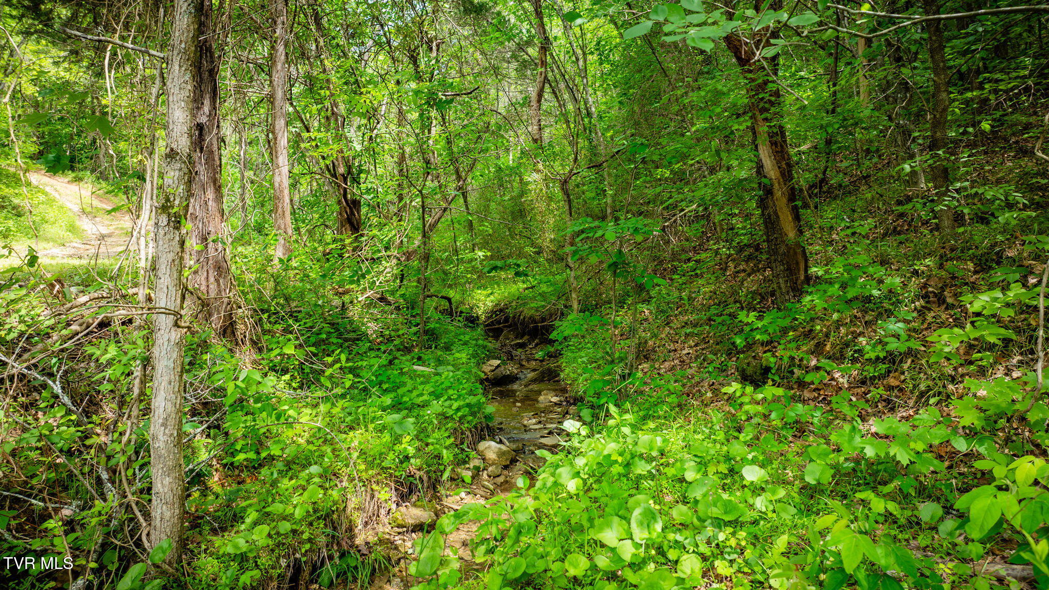 Kingsport, Tennessee, 37660, United States, 1 Bedroom Bedrooms, ,1 BathroomBathrooms,Residential,For Sale,1973991