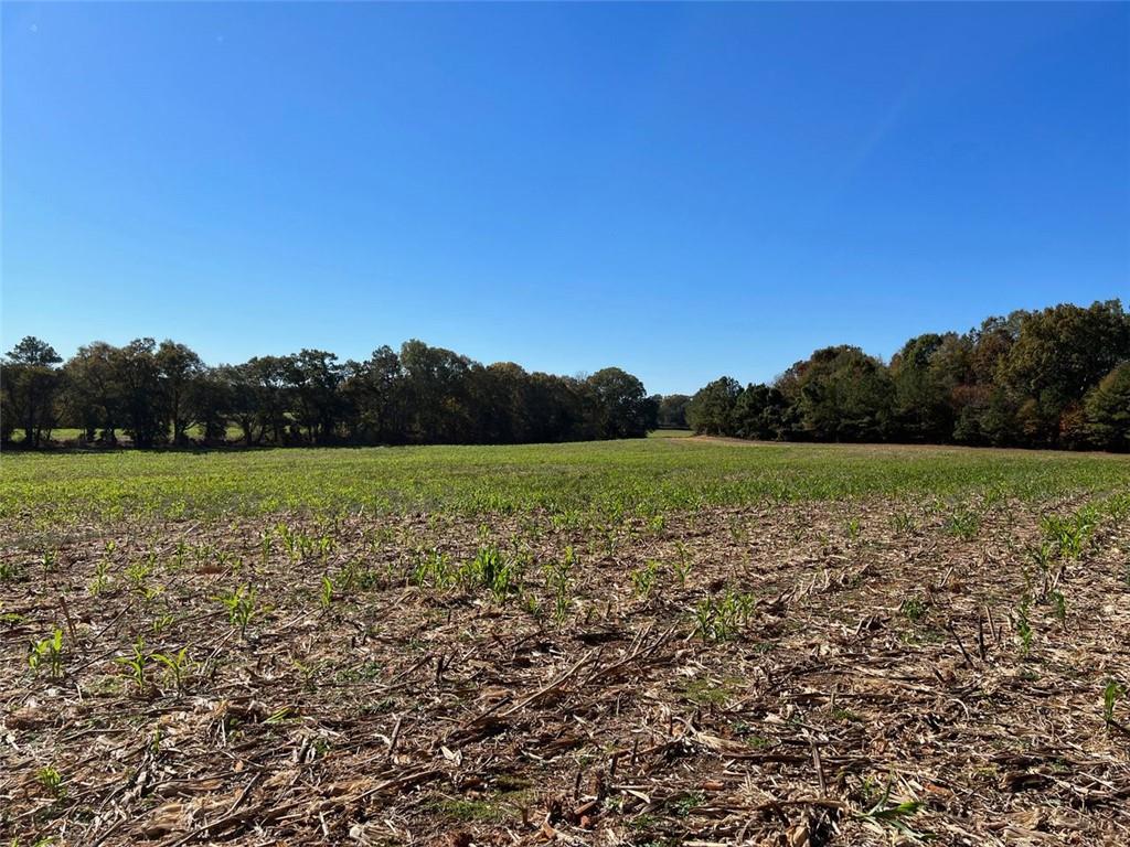 Taylorsville, Georgia, 30178, United States, ,Land,For Sale,1795283