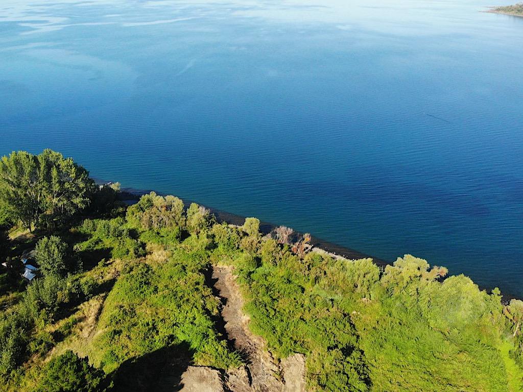 Futrono, Chile, ,Residential,For Sale,1913804