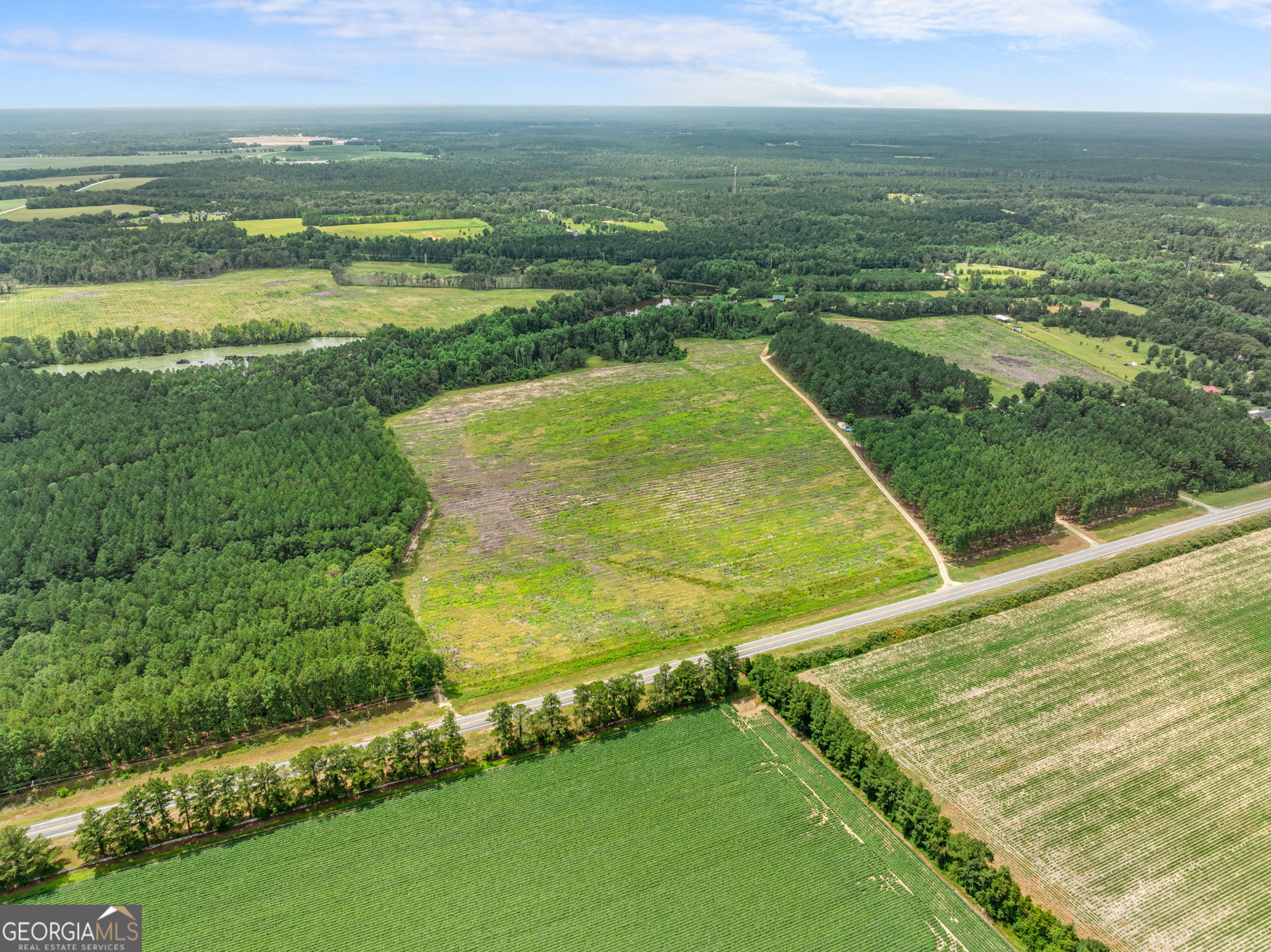 Statesboro, Georgia, 30458, United States, ,Land,For Sale,1911473