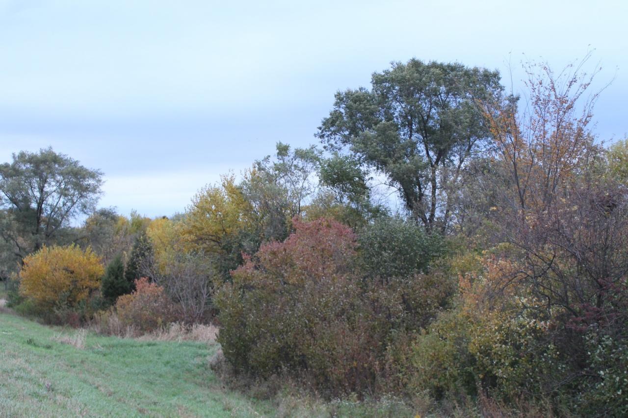 Elburn, Illinois, 60119, United States, ,Land,For Sale,1900855
