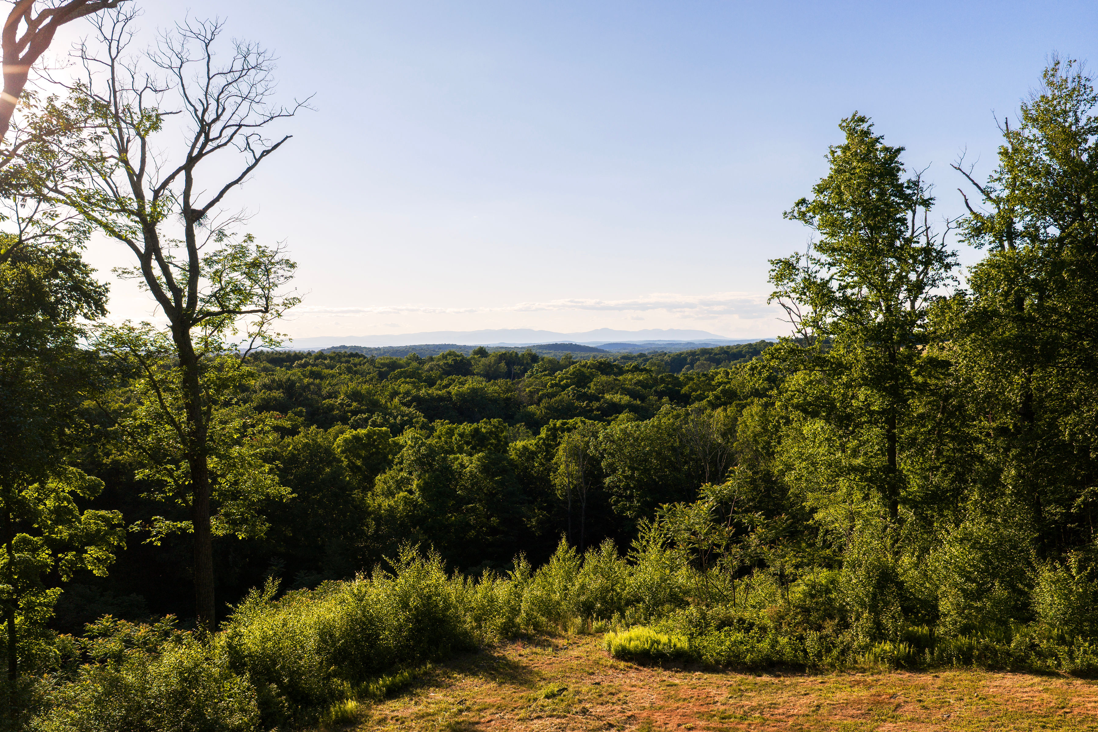  Mallory Road - 物件實景