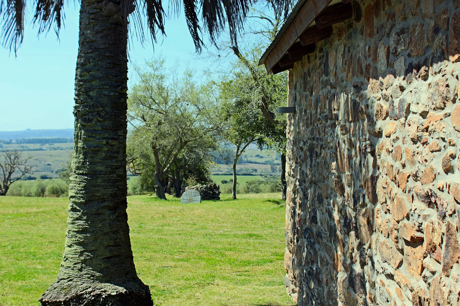  Farm with olive groves in Pueblo Edén - 物件實景