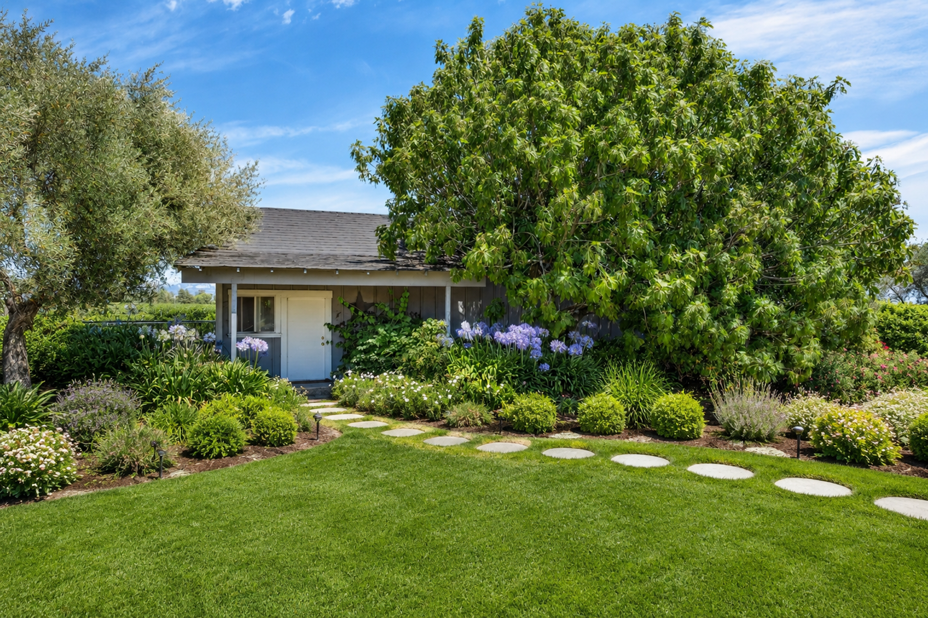  Sonoma Valley Vineyard Estate - 物件實景