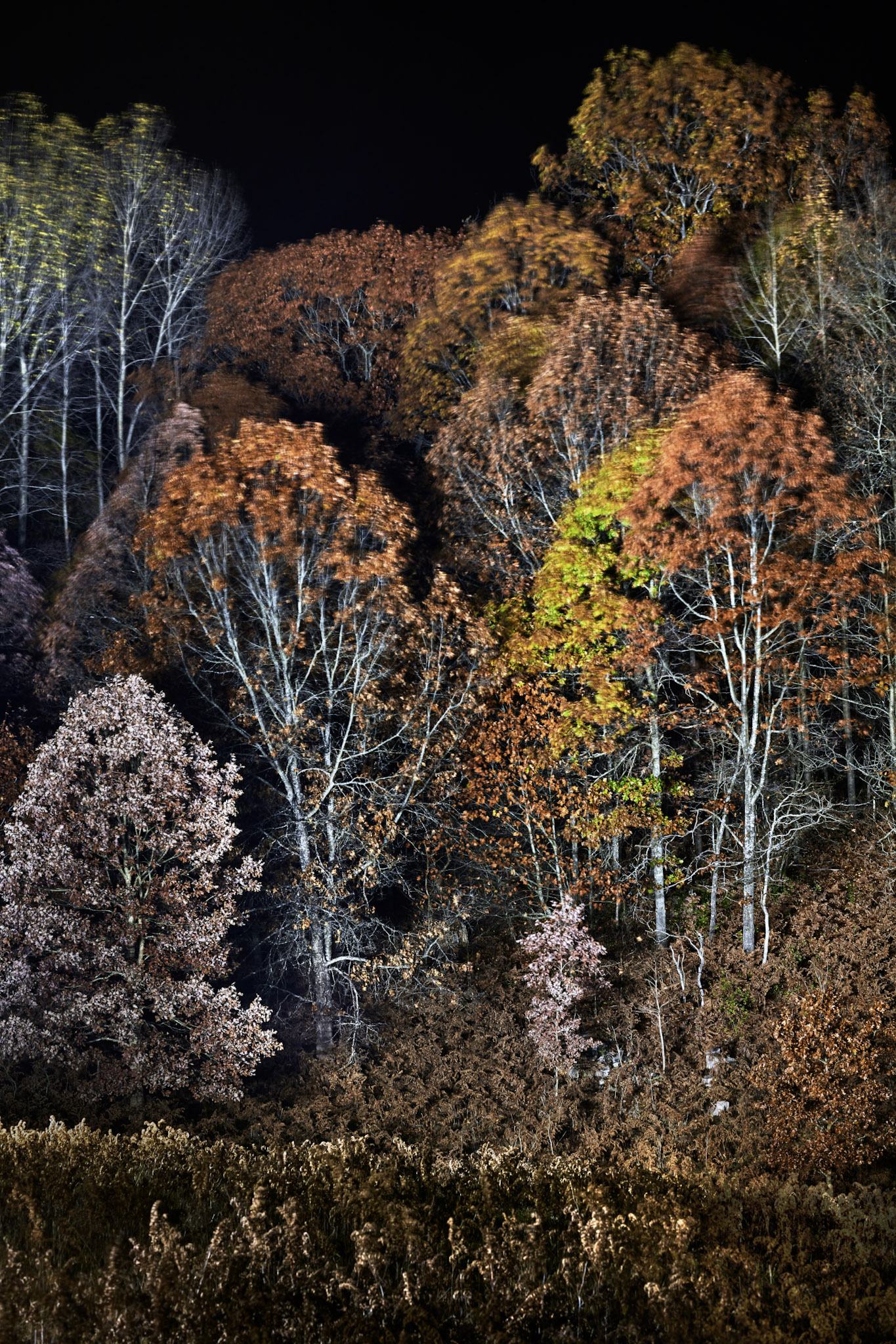 Branch, Michigan, 49402, United States, 1 Bedroom Bedrooms, ,1 BathroomBathrooms,Residential,For Sale,2001233