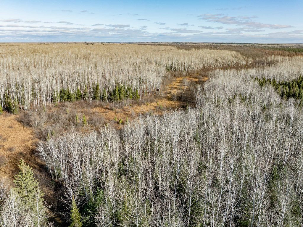 Grand Rapids, Minnesota, 55744, United States, ,Land,For Sale,1983791