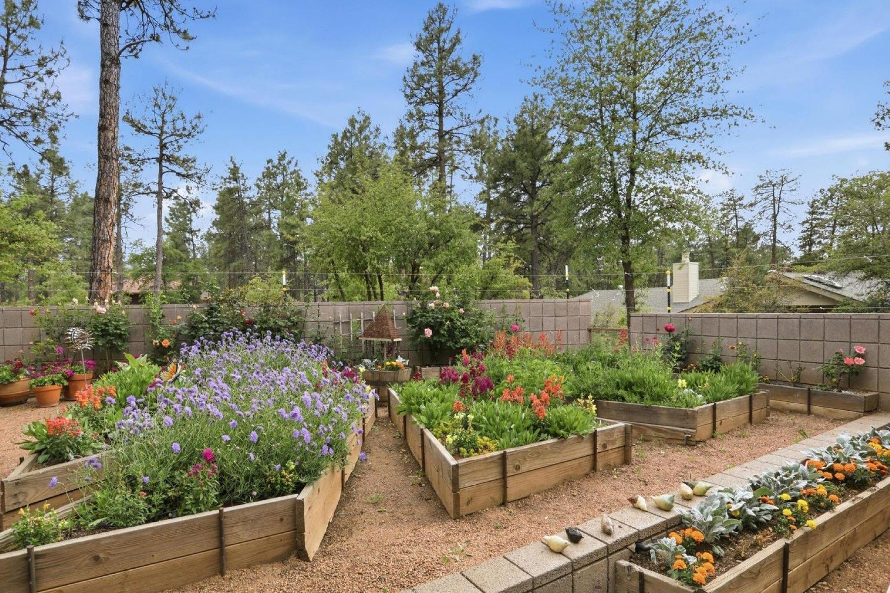  204 N Forest Park Drive  Payson, AZ - 物件實景