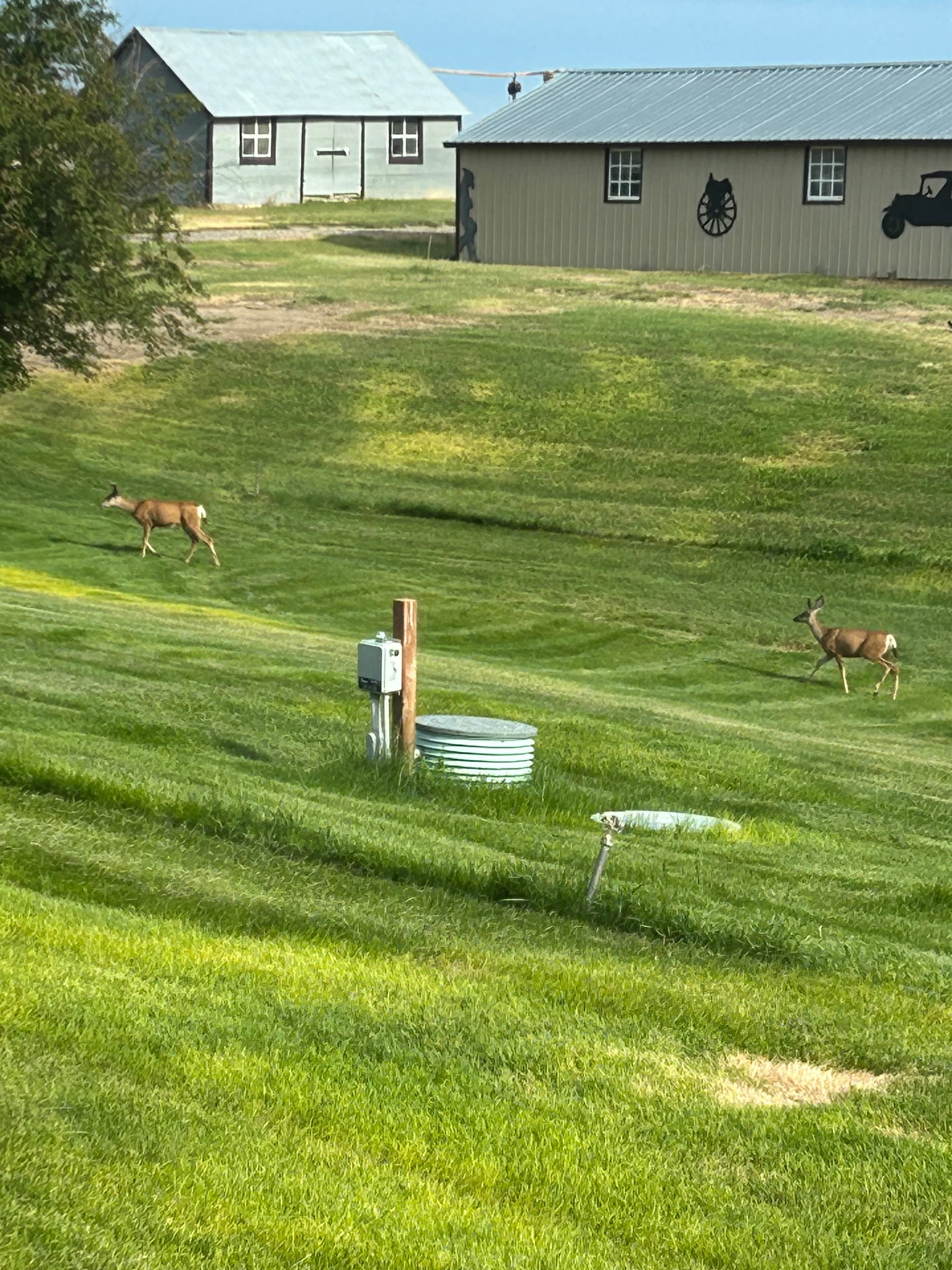 Great Falls, Montana, 59405, United States, 4 Bedrooms Bedrooms, ,4 BathroomsBathrooms,Residential,For Sale,1979870