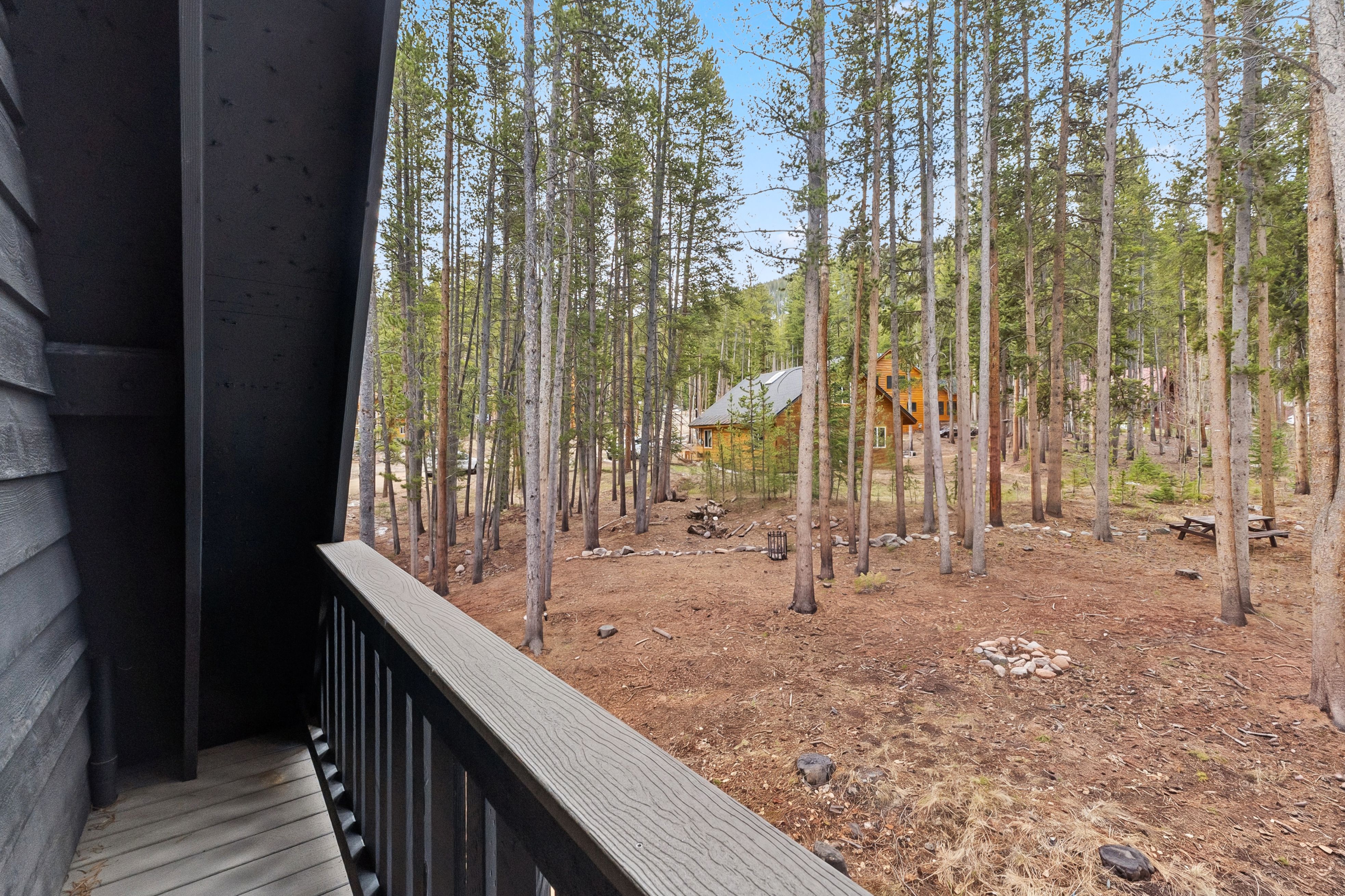  293 Regal Circle, Breckenridge, CO, 80424 - 物件實景
