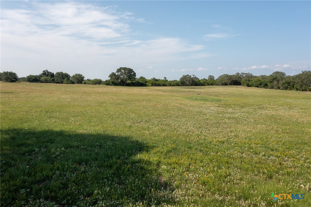 Yorktown, Texas, 78164, United States, ,Land,For Sale,1858167