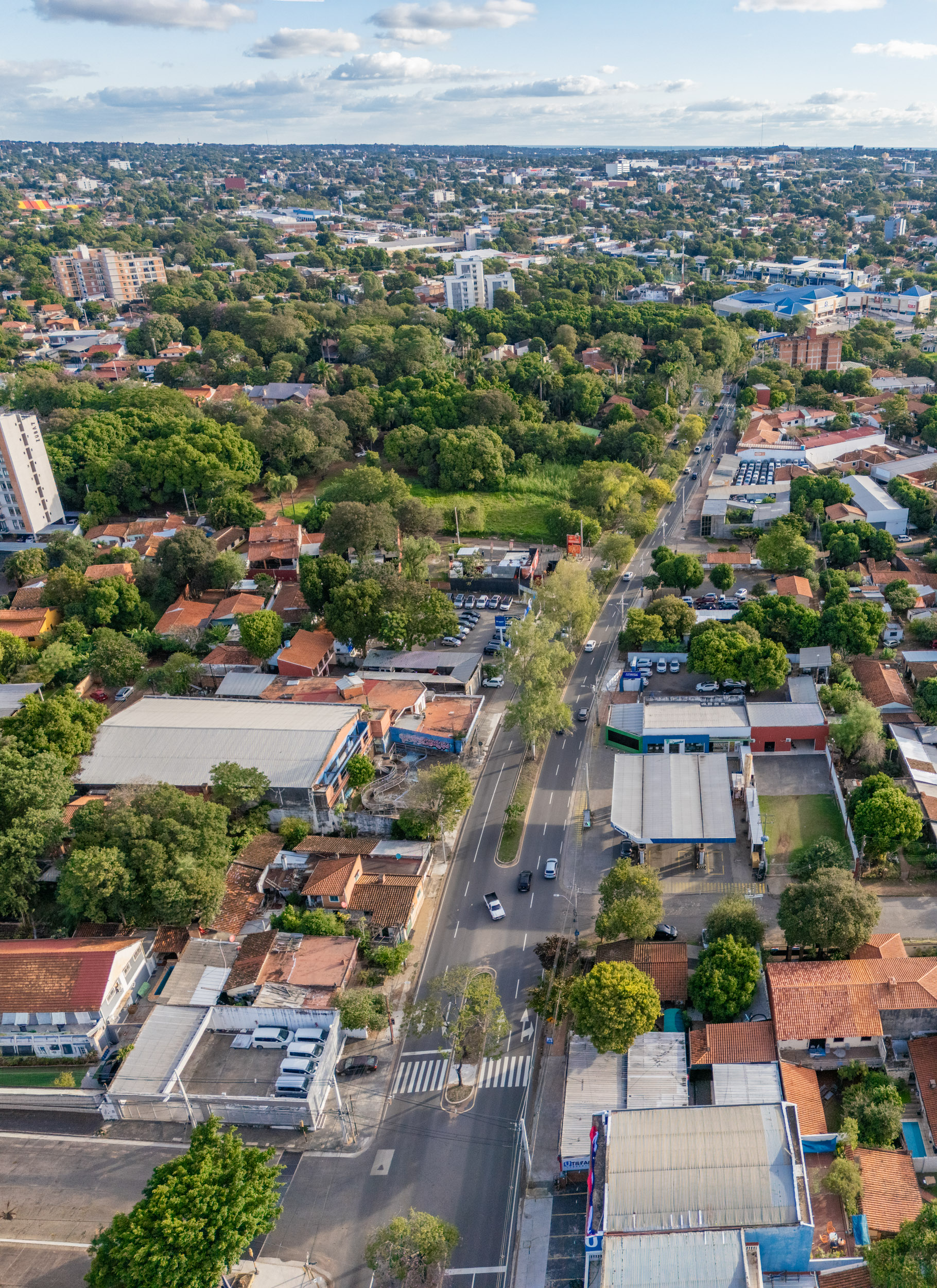  Investment Opportunity on Mariscal López Avenue - 物件實景