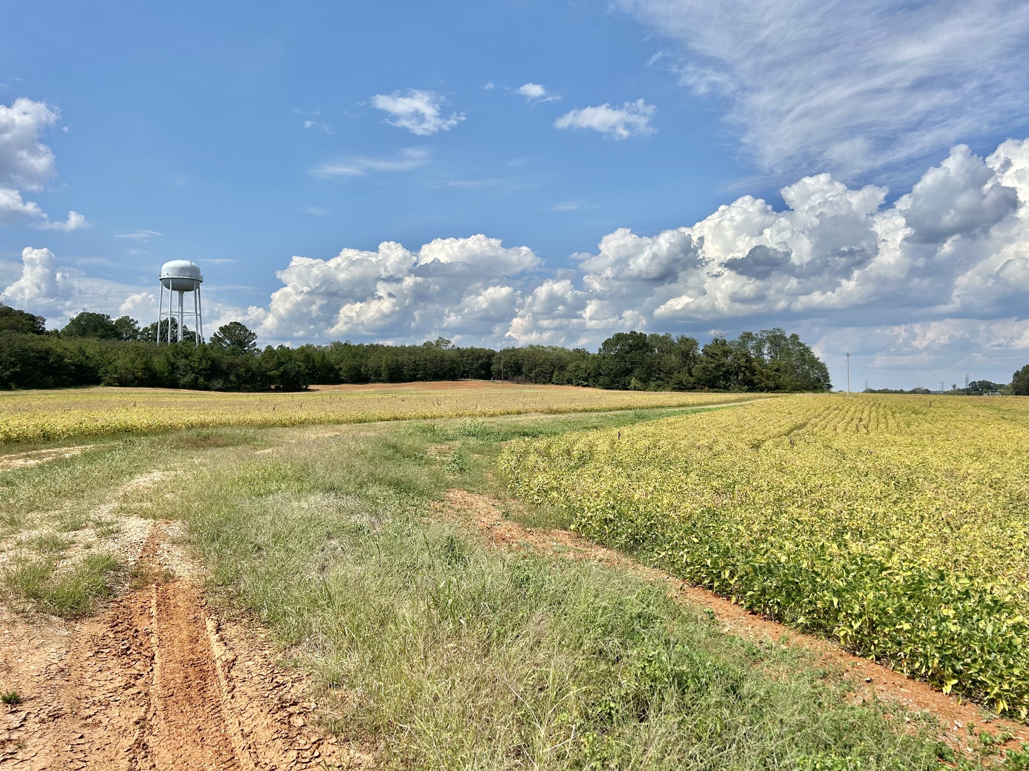 Decherd, Tennessee, 37324, United States, ,Land,For Sale,2016602