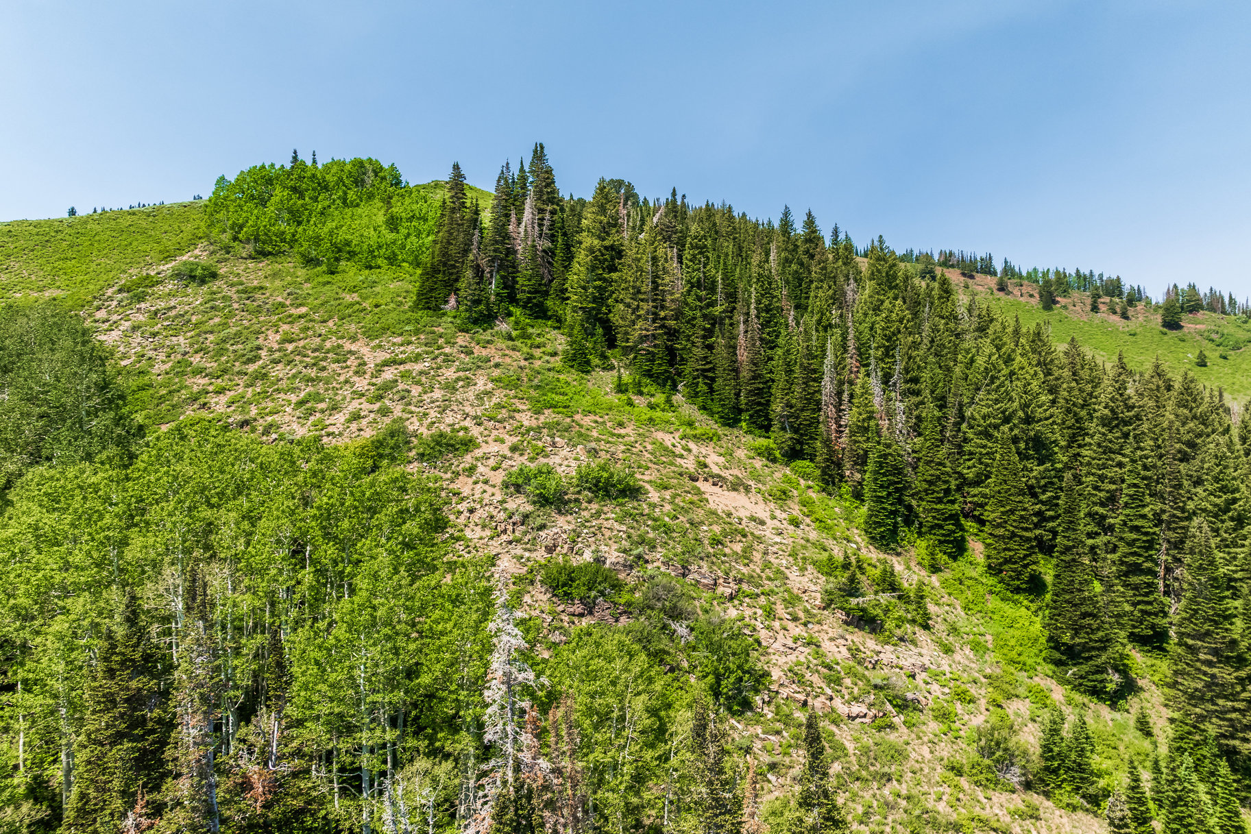  Incredible 28 Acre Estate Lot in the Colony at White Pine Canyon - 物件實景