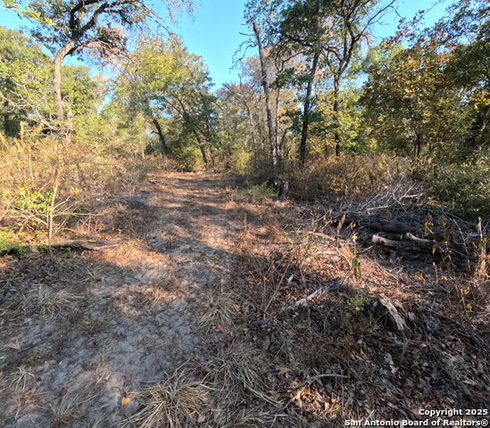 Seguin, Texas, 78155, United States, ,2 BathroomsBathrooms,Residential,For Sale,1983192