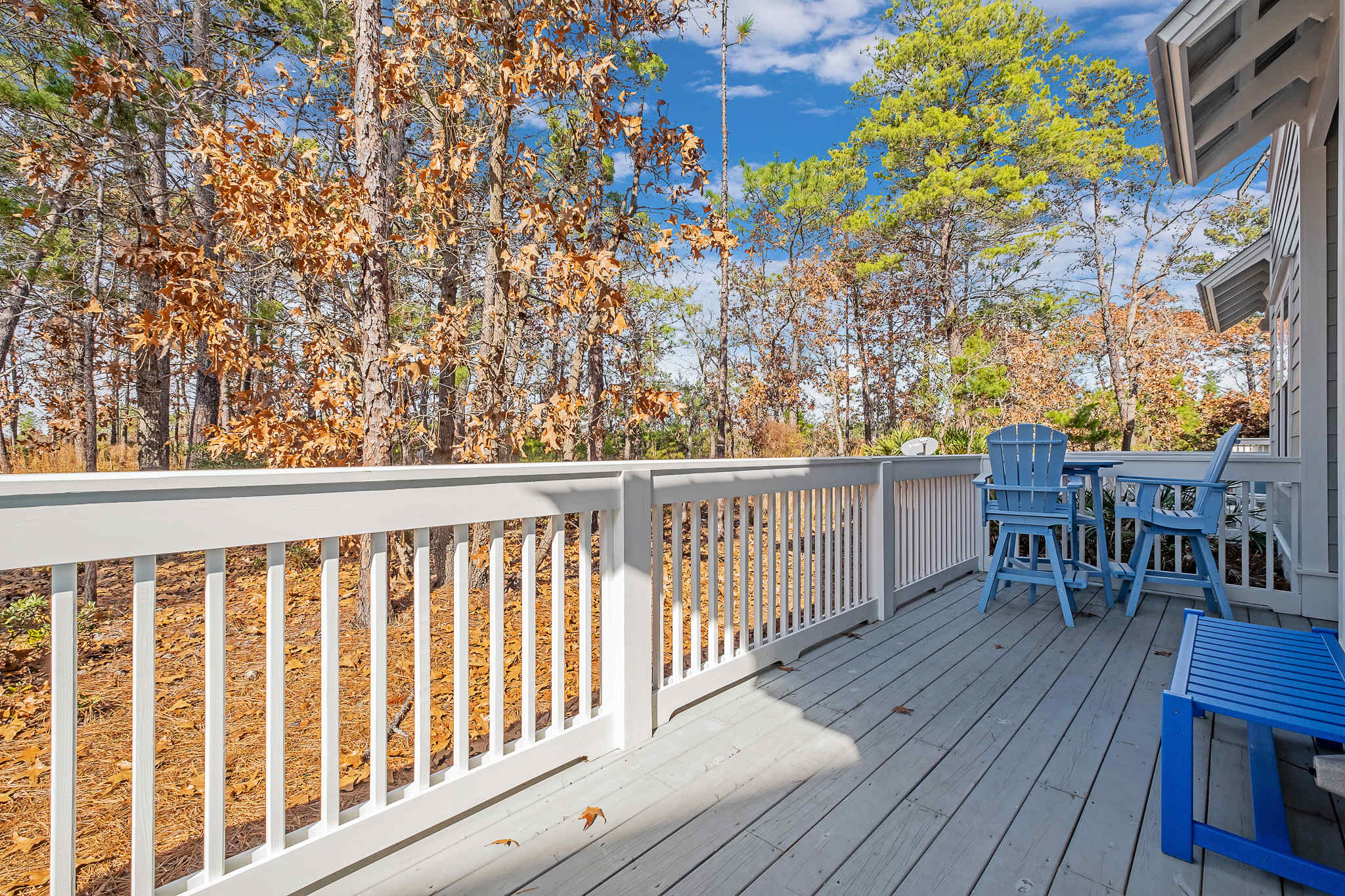  Private Preserve-Backed Townhouse With Garage and Golf Cart in 30A Community - 物件實景