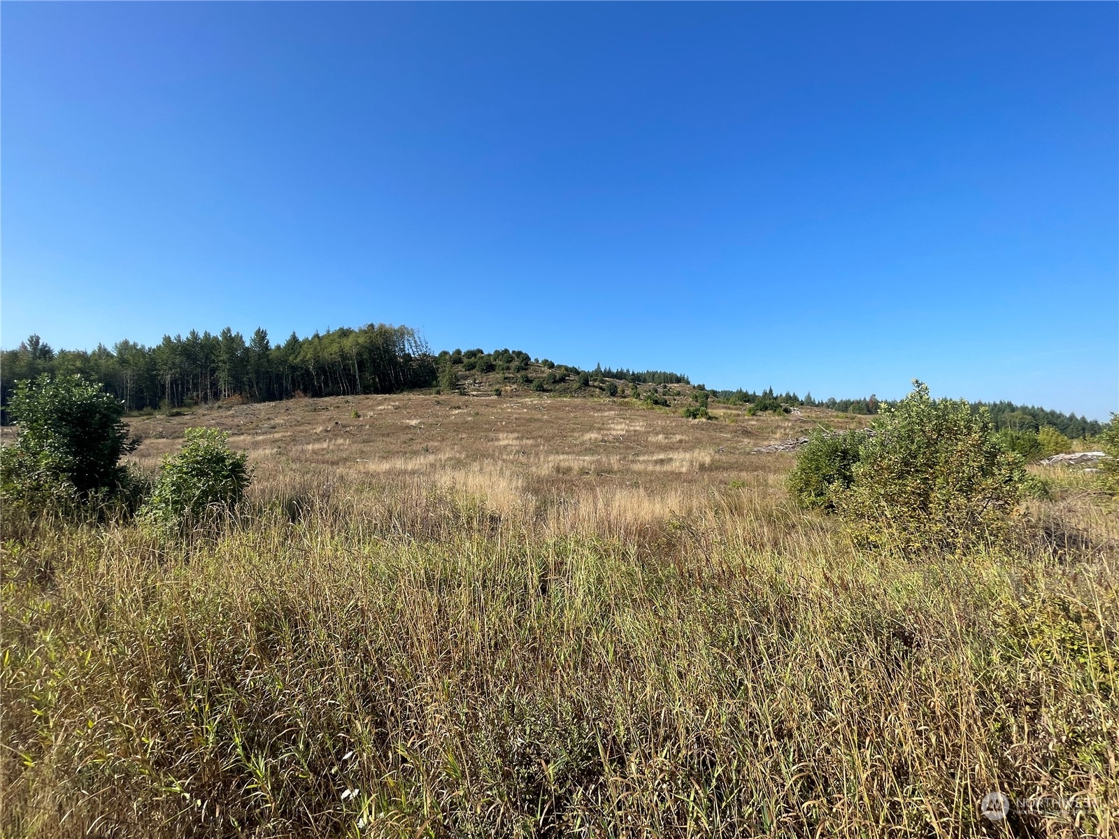 0 Salmon Creek Road, Toledo, Washington, 98591, United States, ,Land,For Sale,0 Salmon Creek Road,1445905