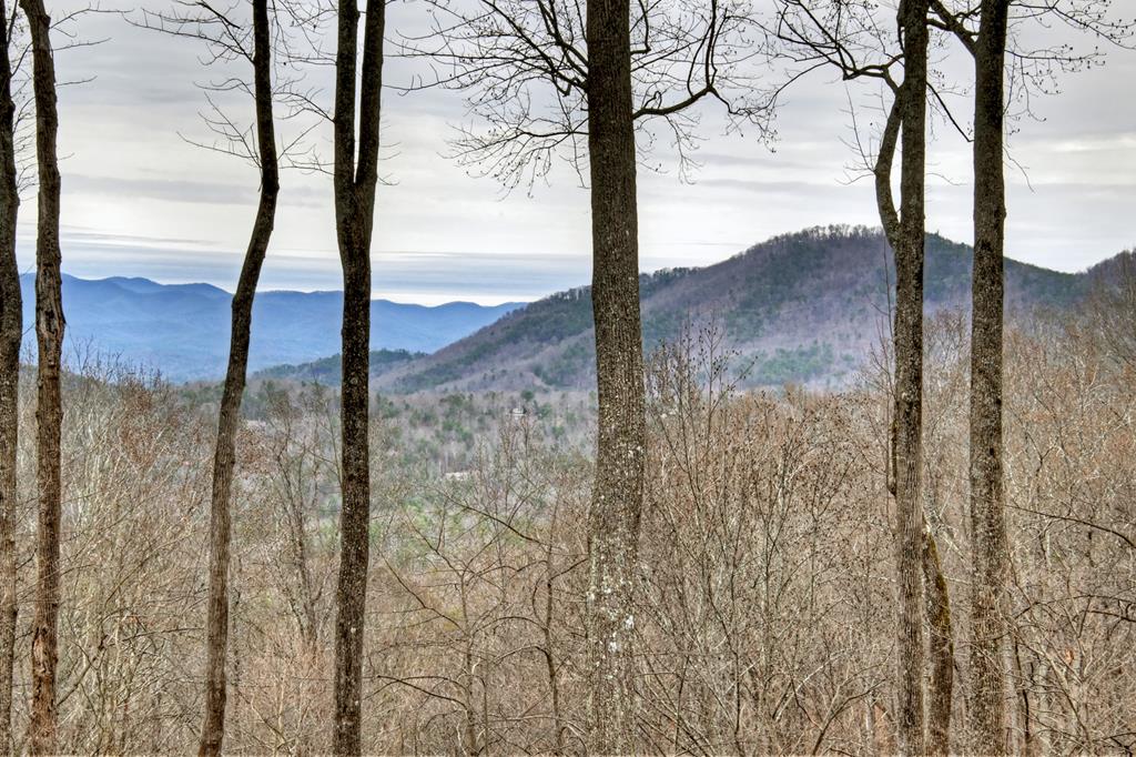 Ellijay, Georgia, 30536, United States, 4 Bedrooms Bedrooms, ,3 BathroomsBathrooms,Residential,For Sale,2003227