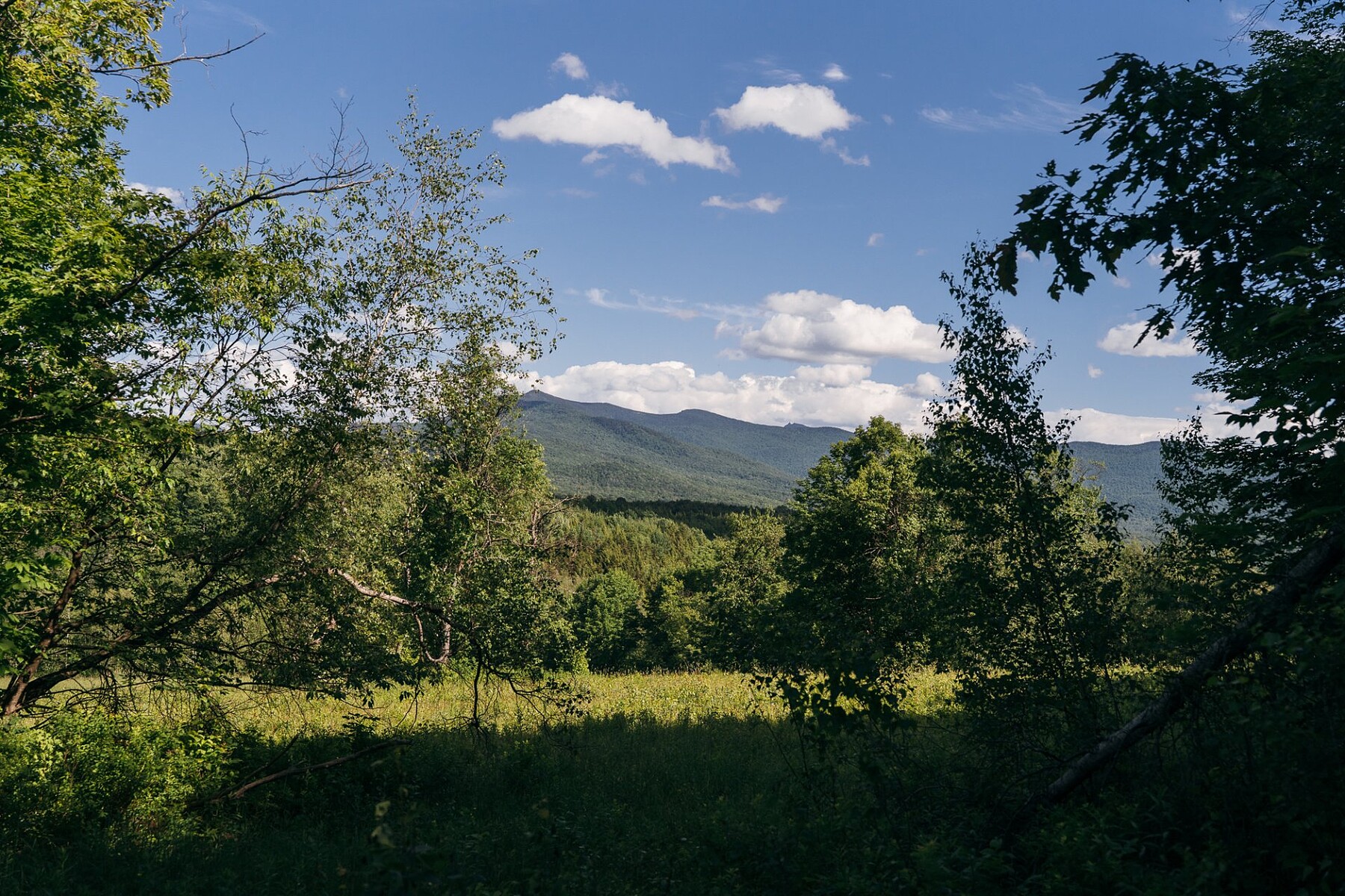  Sutton, Eastern Townships - 物件實景
