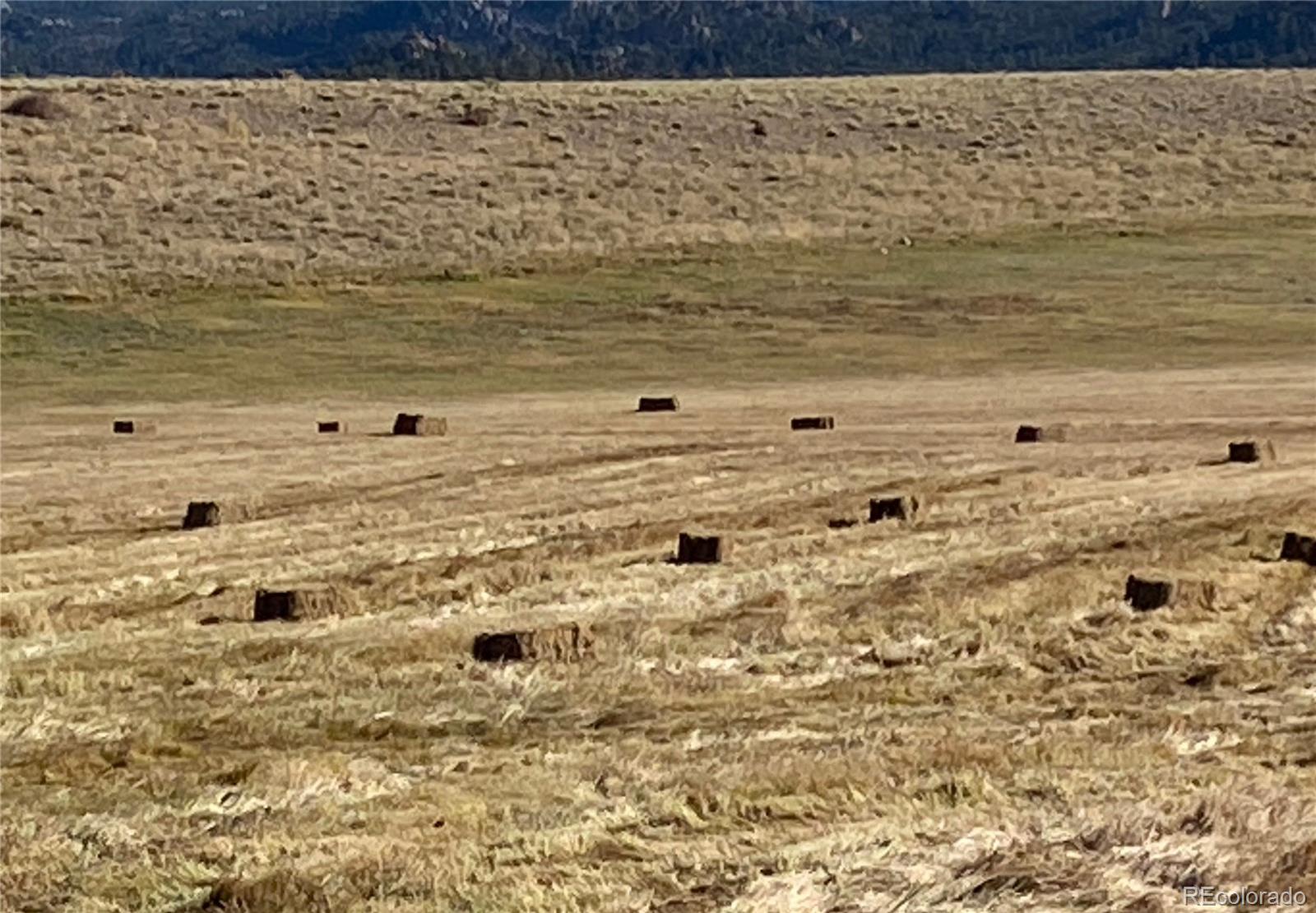 Nathrop, Colorado, 81236, United States, 3 Bedrooms Bedrooms, ,2 BathroomsBathrooms,Residential,For Sale,1979529