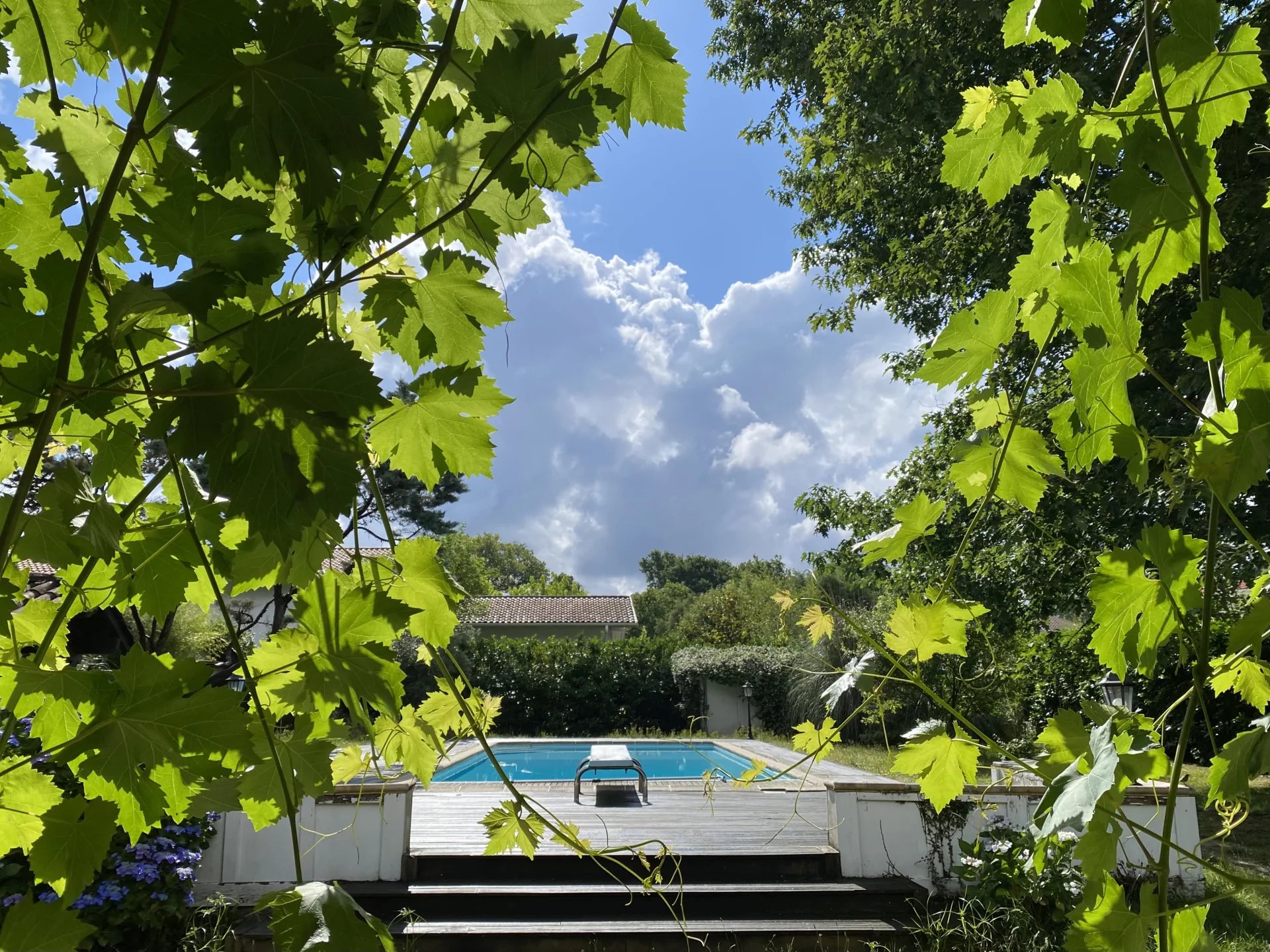 Seignosse, New Aquitaine, 40510, FR, 6 Bedrooms Bedrooms, ,8 BathroomsBathrooms,Residential,For Sale,1837891