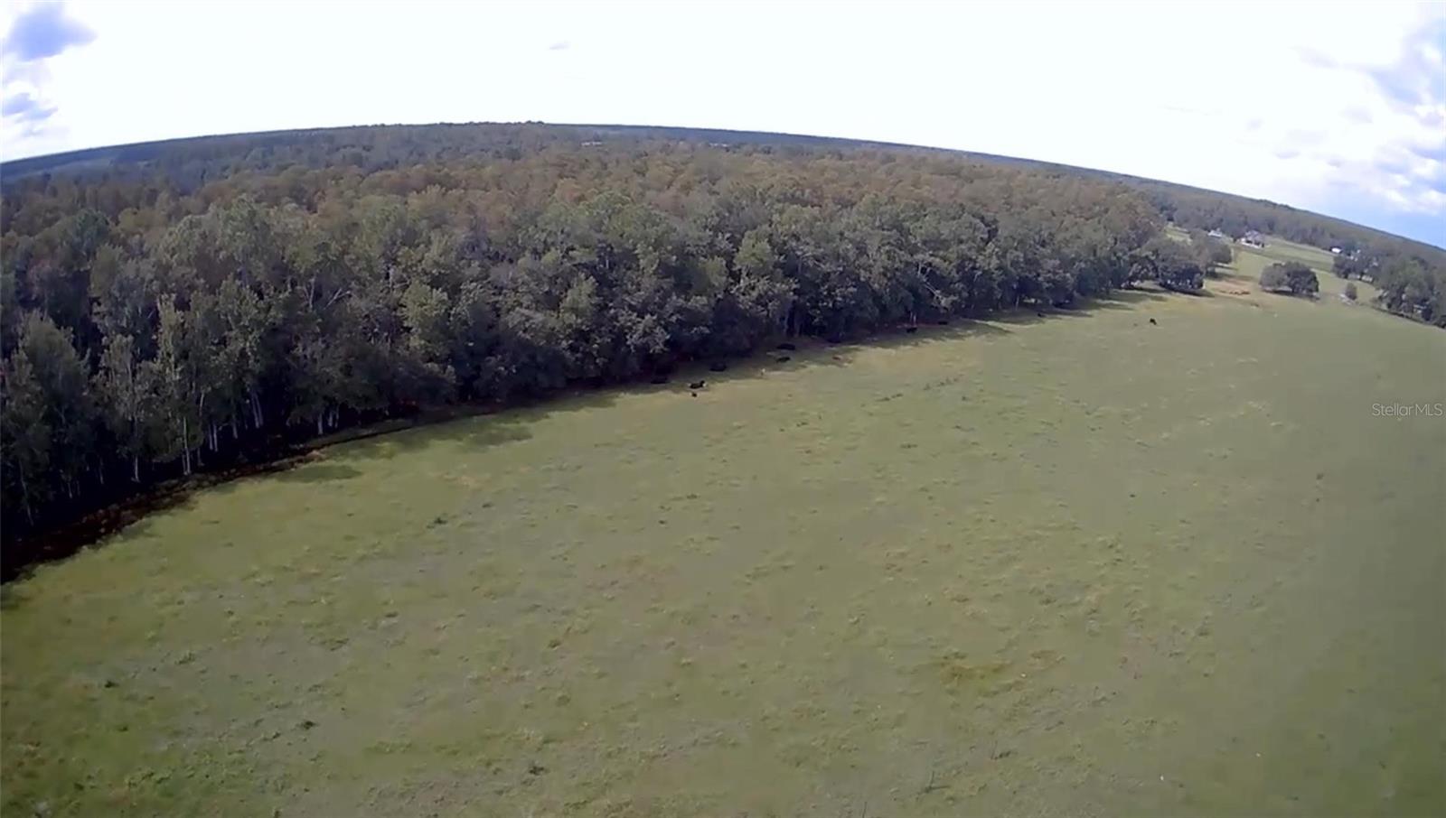 CLERMONT, Florida, 34714, United States, ,Land,For Sale,1982027