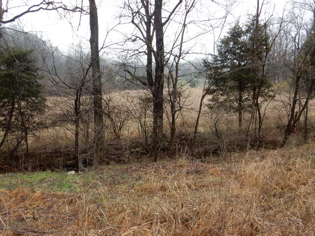 Clermont, Kentucky, 40110, United States, ,Land,For Sale,1980542