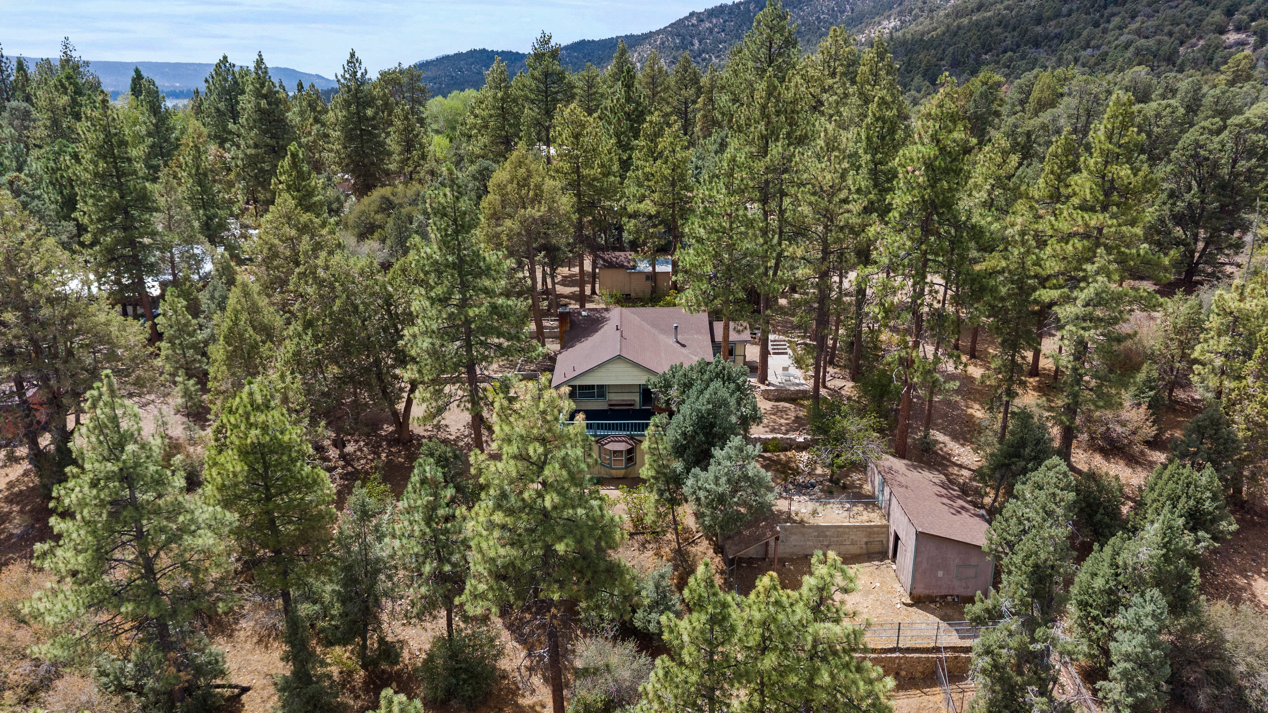  1172 Mound Street, Big Bear City, CA 92314 - 物件實景