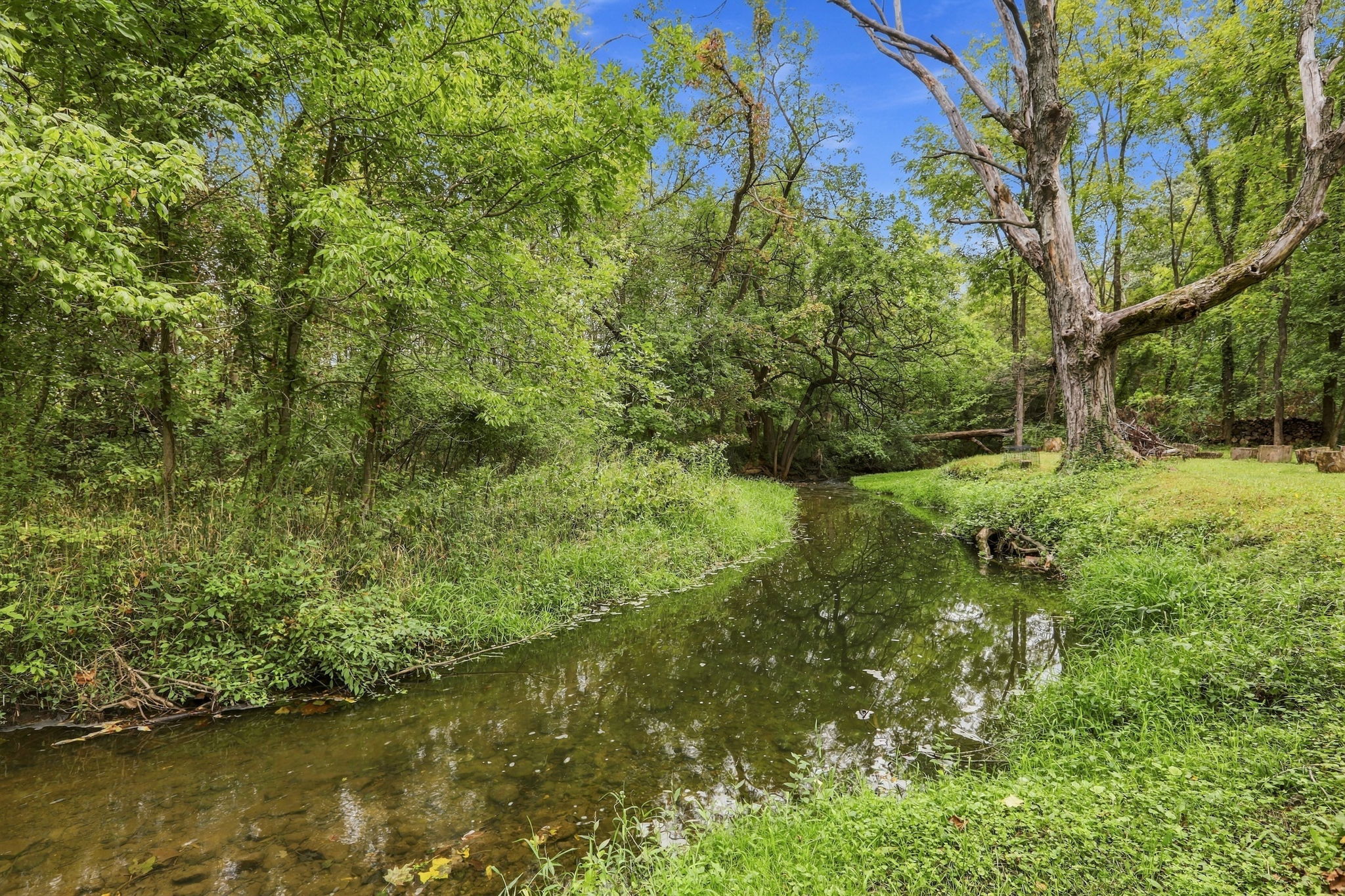  Six Bedroom Zionsville Home Surrounded By Park-Like Acreage - 物件實景