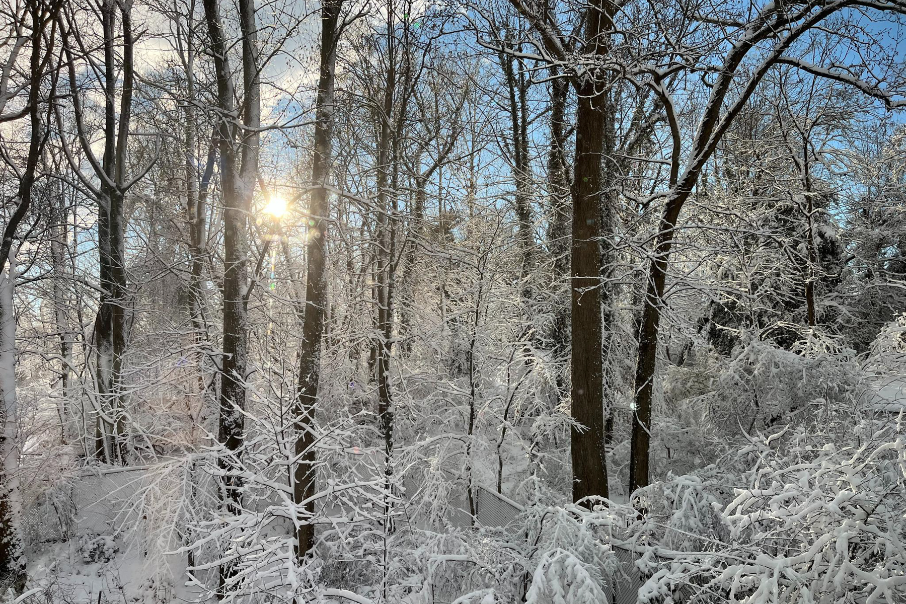  7318 Burdette Court, Bethesda, MD, 20817 - 物件實景