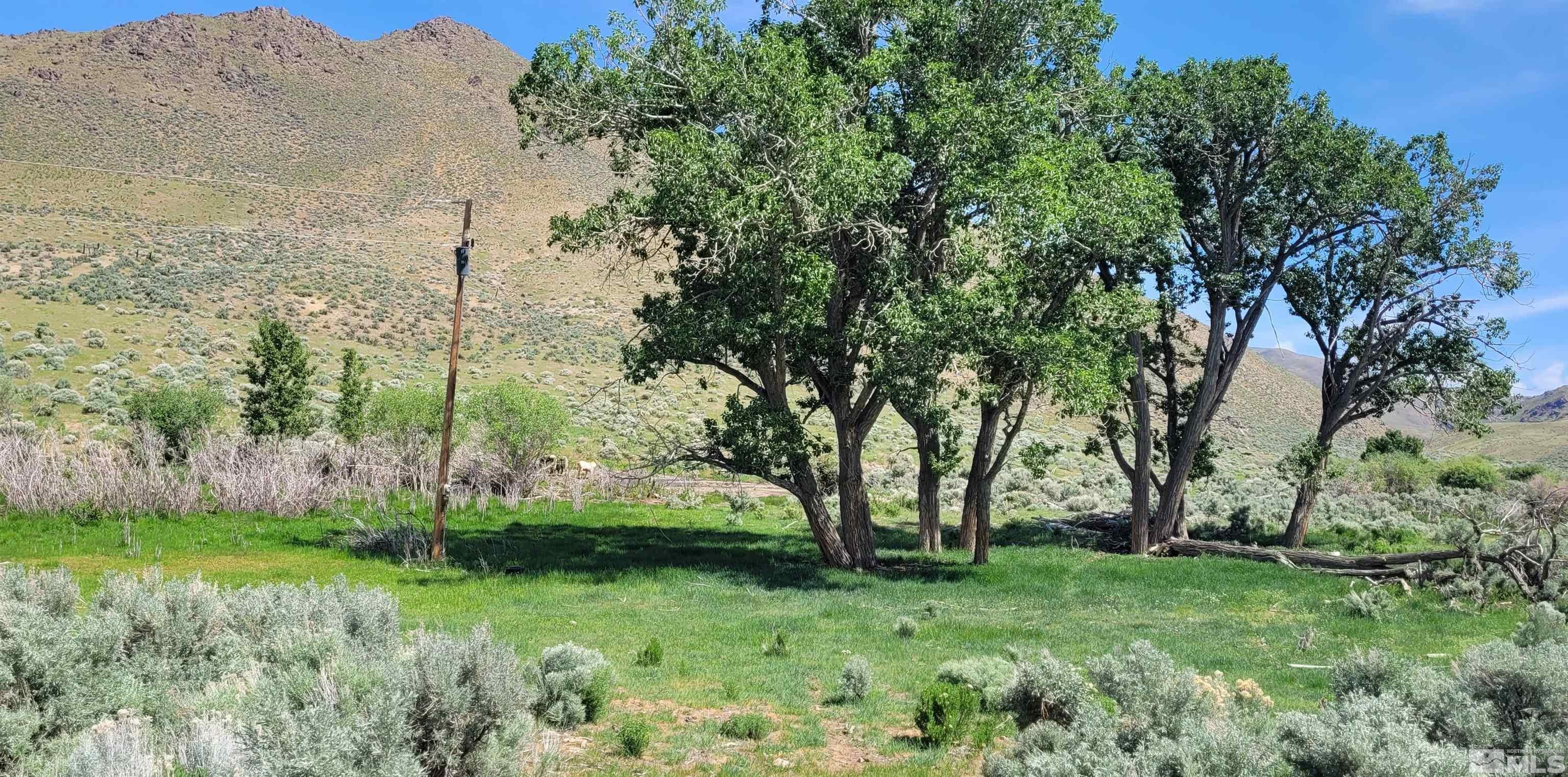 Orovada, Nevada, 89425, United States, ,Residential,For Sale,1860452