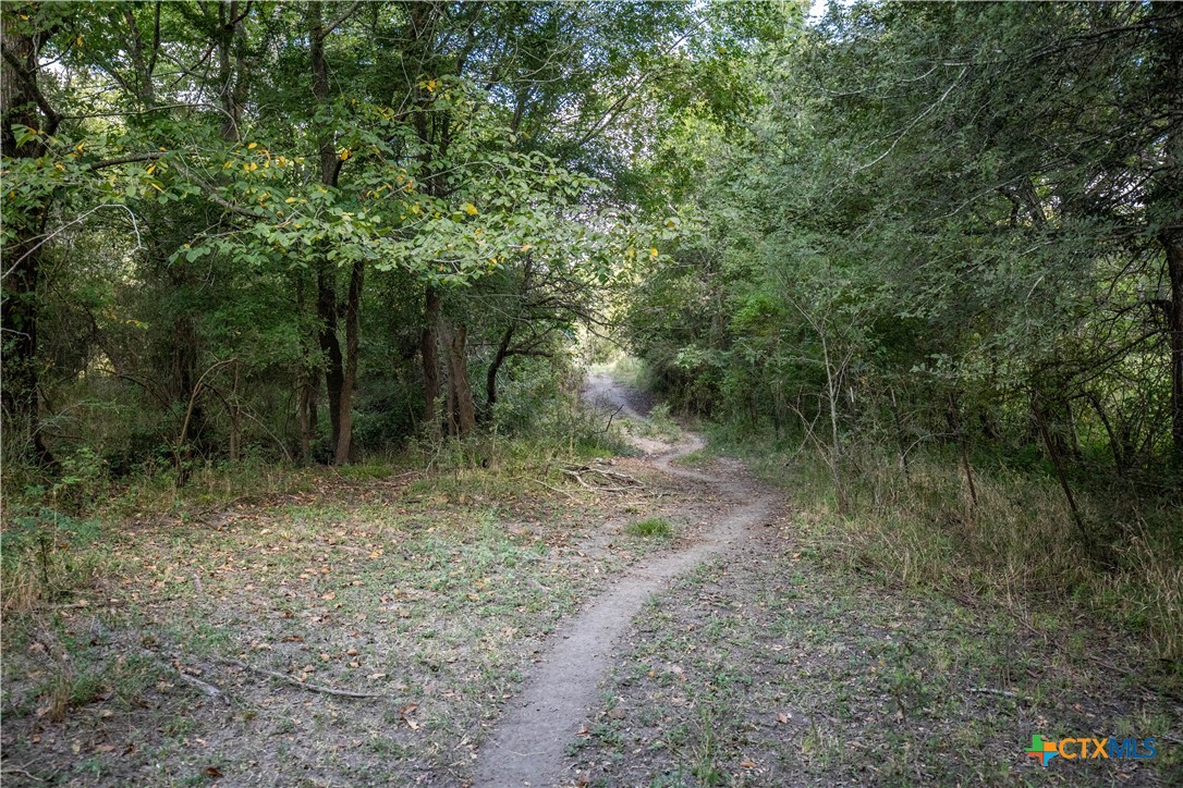 Cuero, Texas, 77954, United States, ,Residential,For Sale,1949163