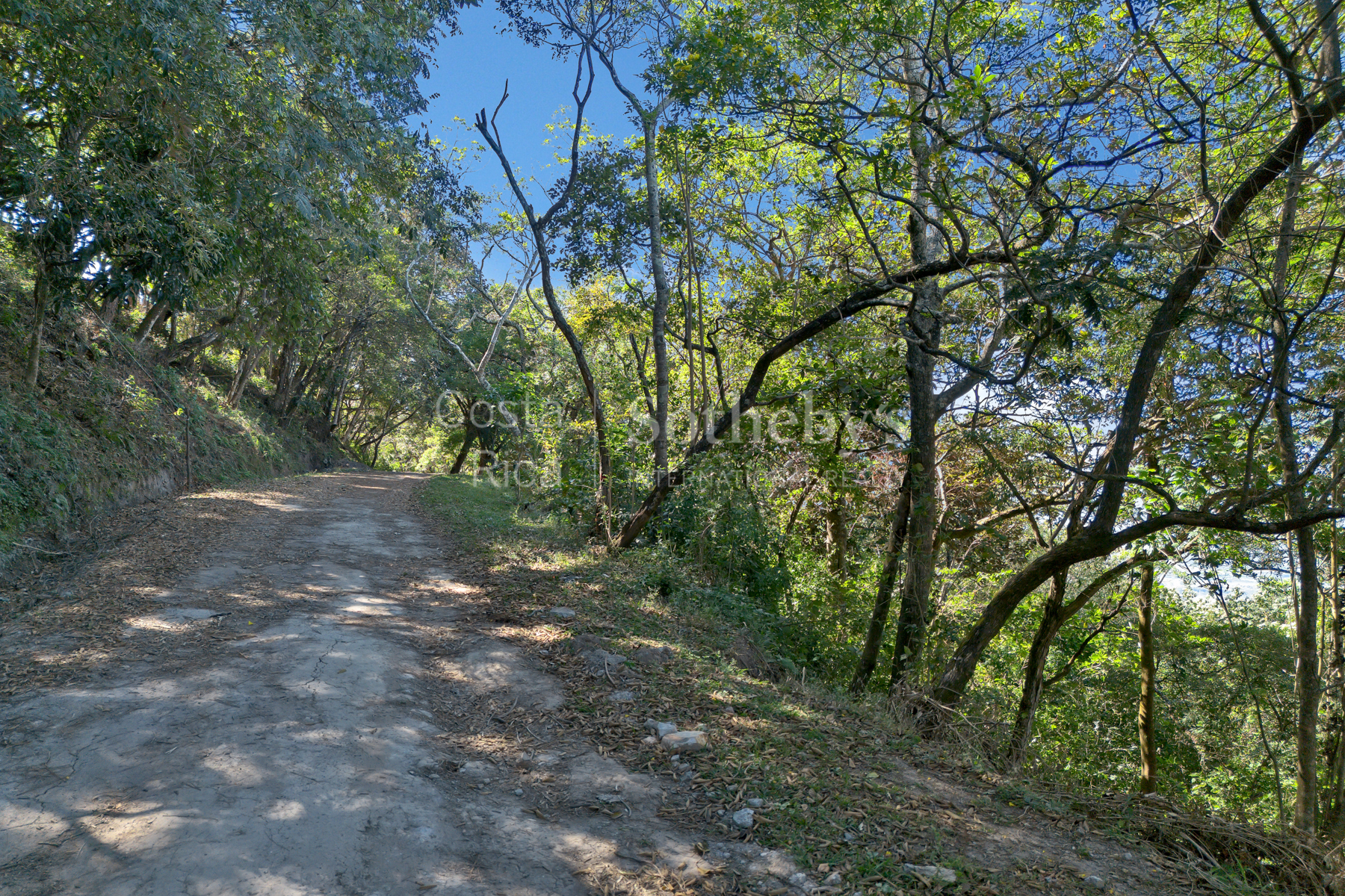  Best Deal Lot In Condominuim Montaña del Sol - 物件實景