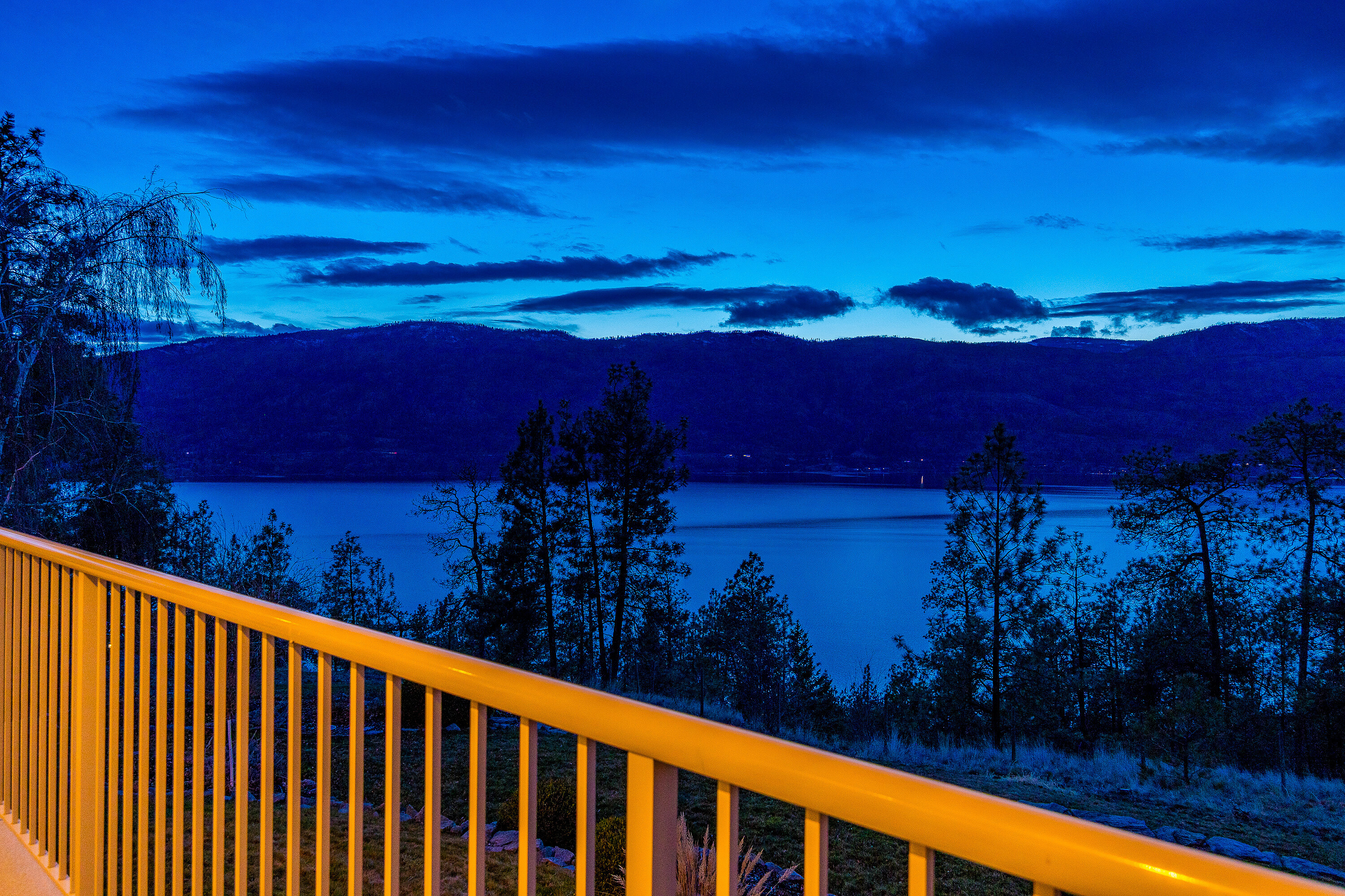  180 Degree Views of the Lake - 物件實景