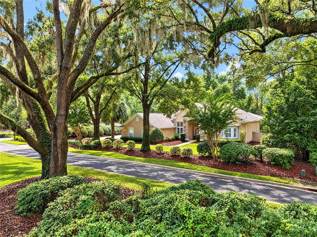 88th St, Gainesville, FL 32608 #1
