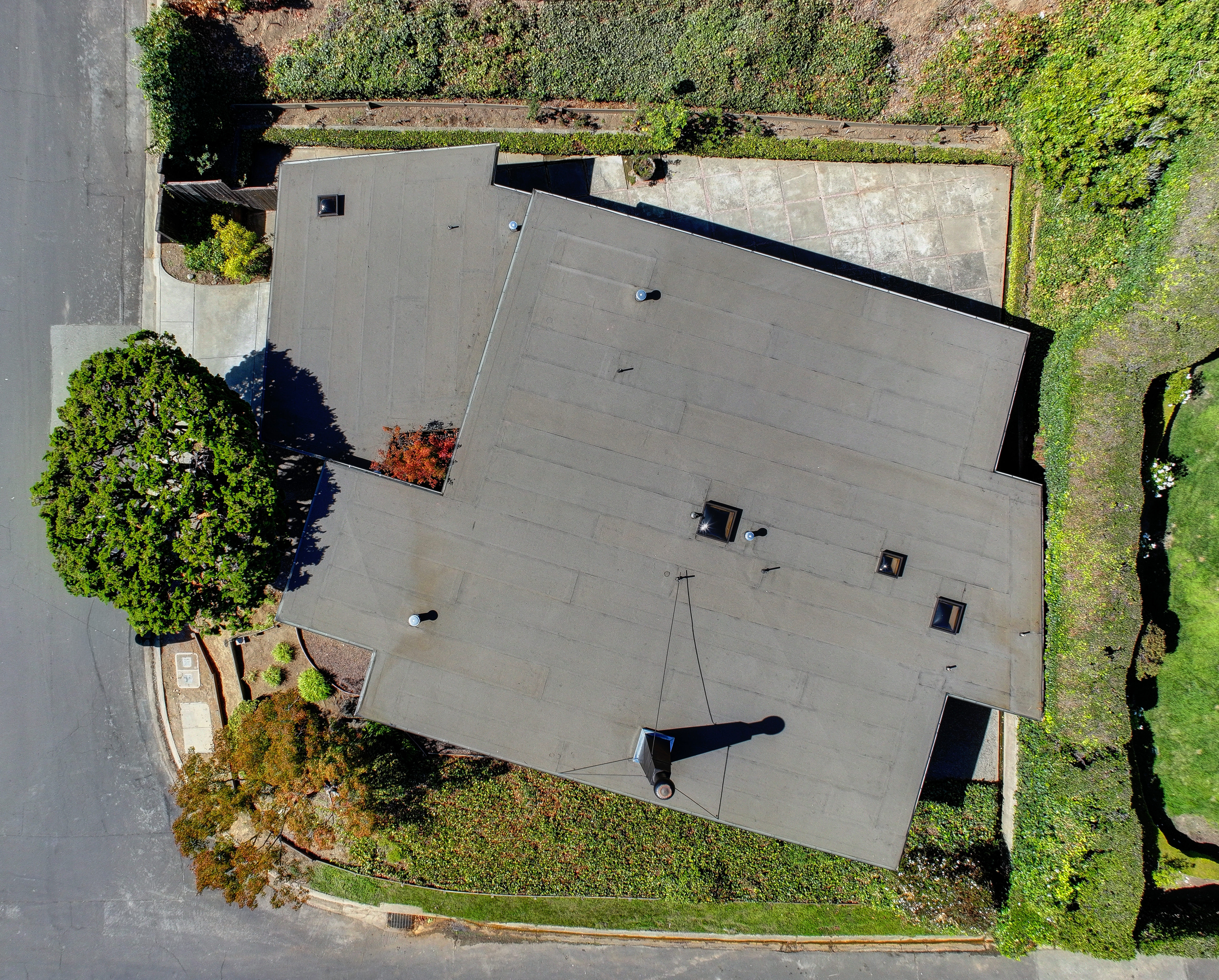  Mid-Century Character. Bay Views. A Rare Tiburon Opportunity - 物件實景