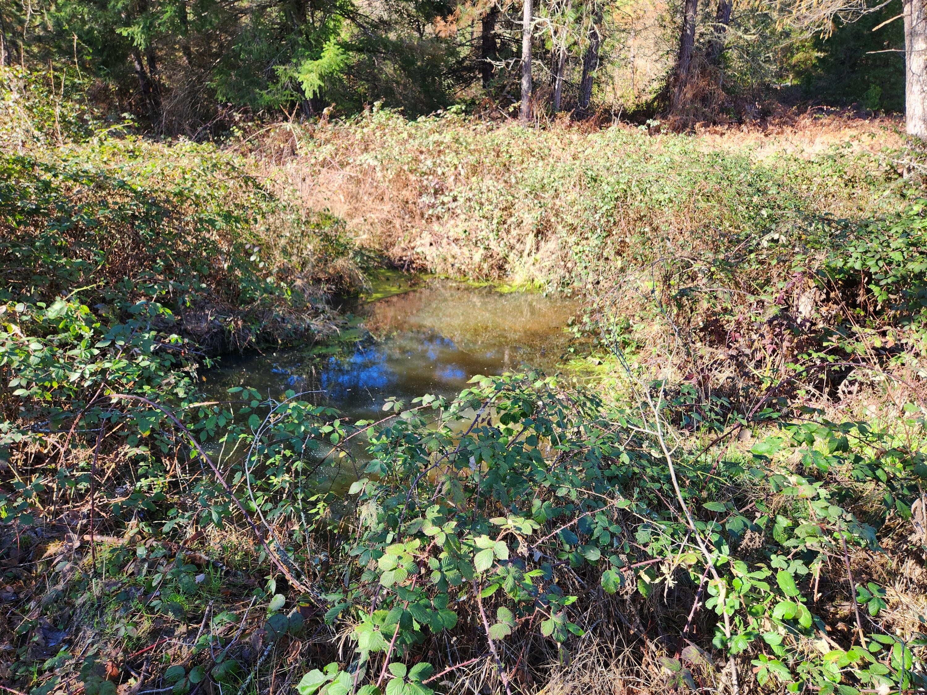 Grants Pass, Oregon, 97526, United States, 3 Bedrooms Bedrooms, ,2 BathroomsBathrooms,Residential,For Sale,1982829