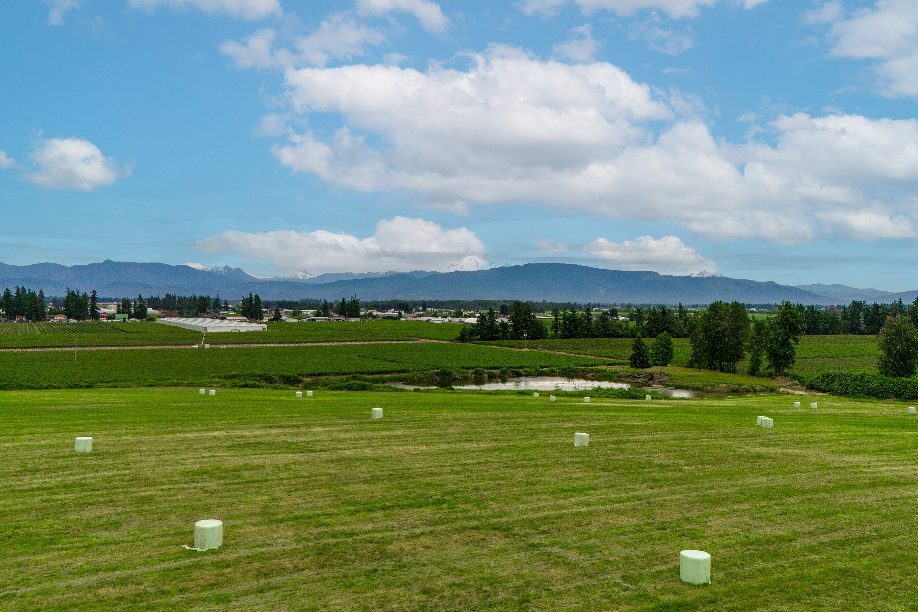  Rare Large Parcel Farmland - 物件實景