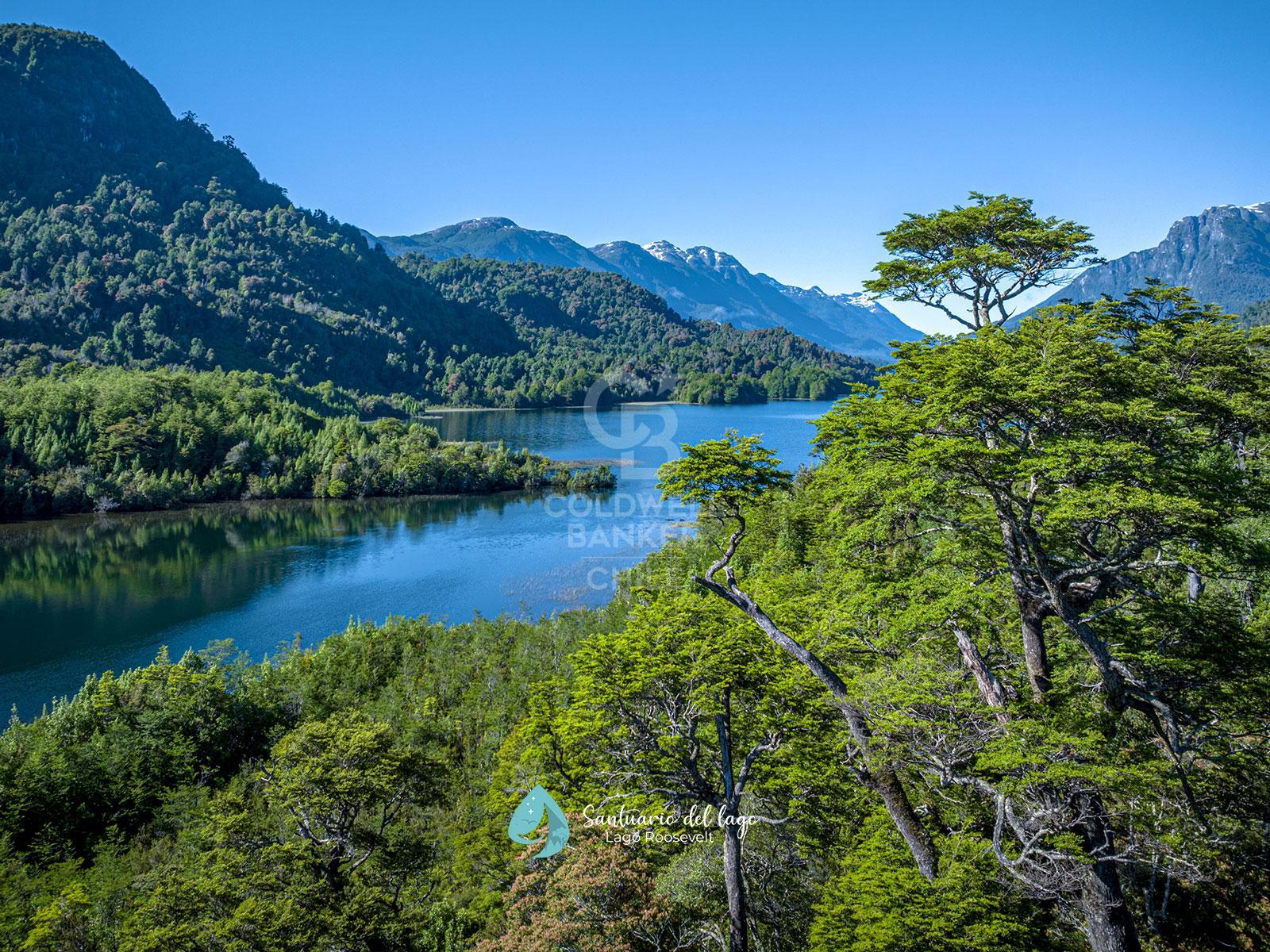 Cisnes, Chile, ,Land,For Sale,1779391