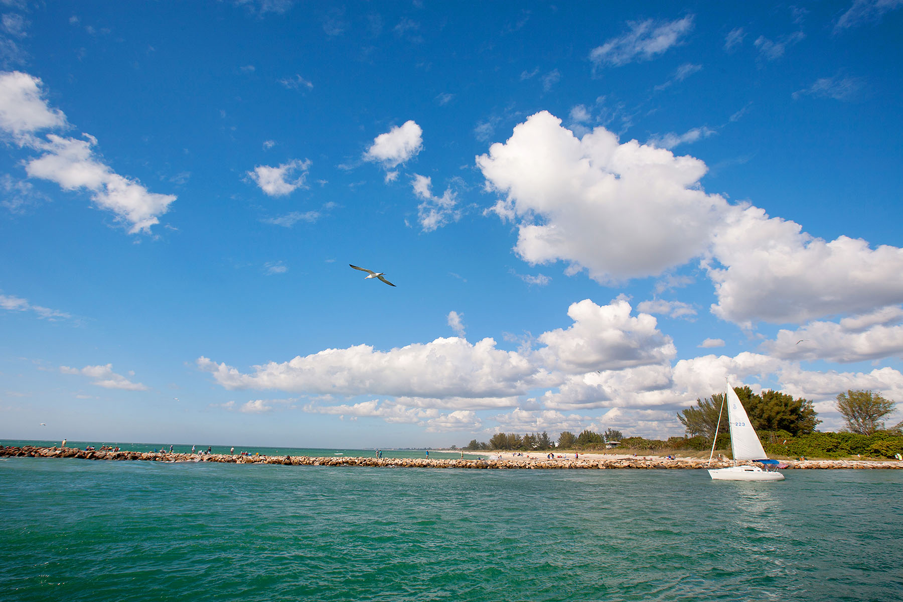  BELLAGIO ON VENICE ISLAND - 物件實景