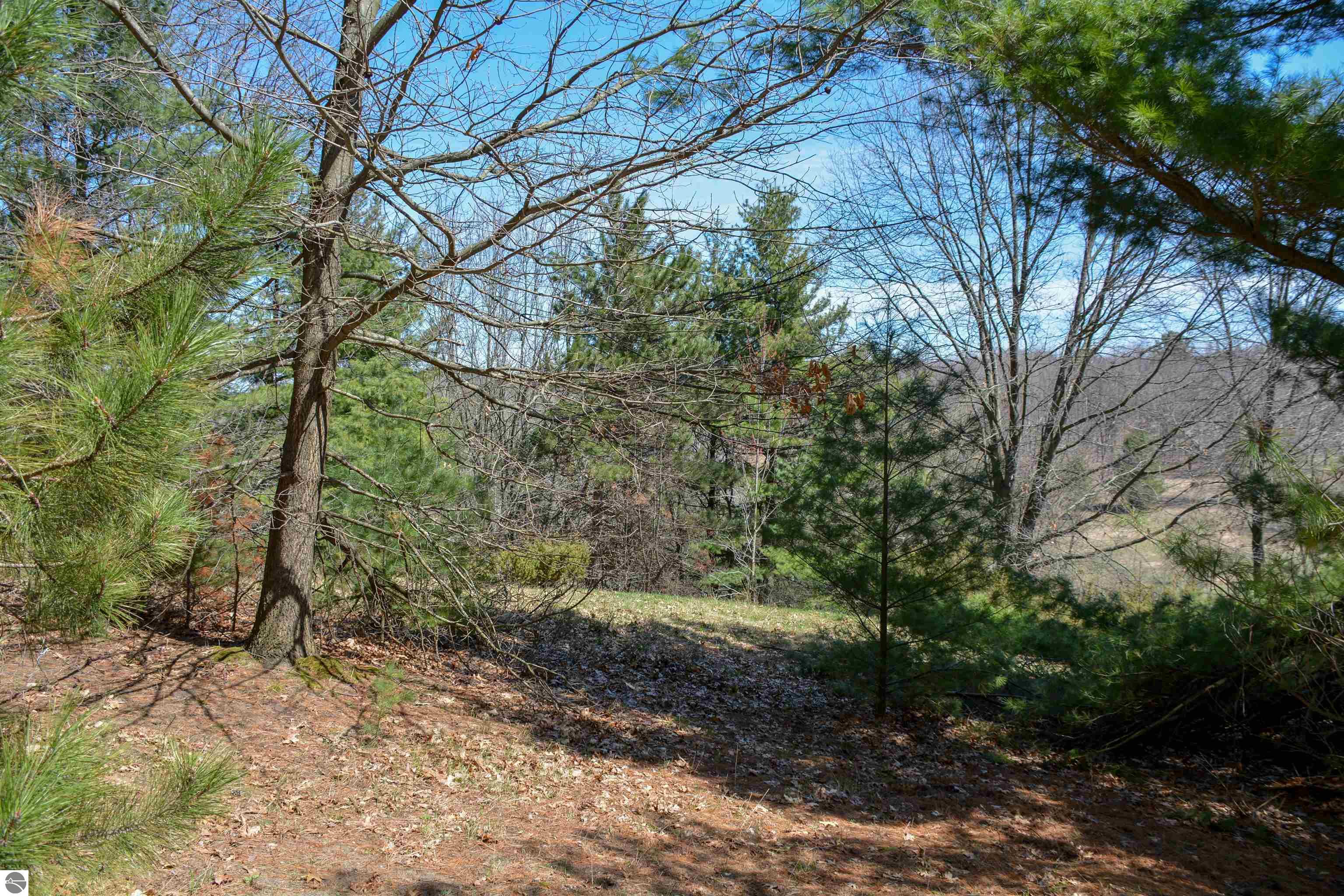 Traverse City, Michigan, 49696, United States, ,Land,For Sale,1850292