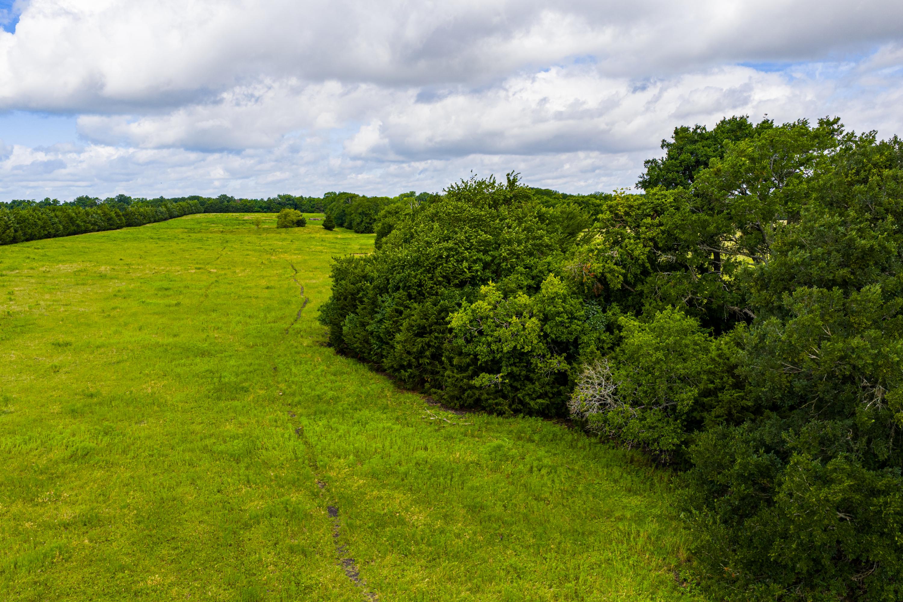  Hickory Creek Ranch - 物件實景