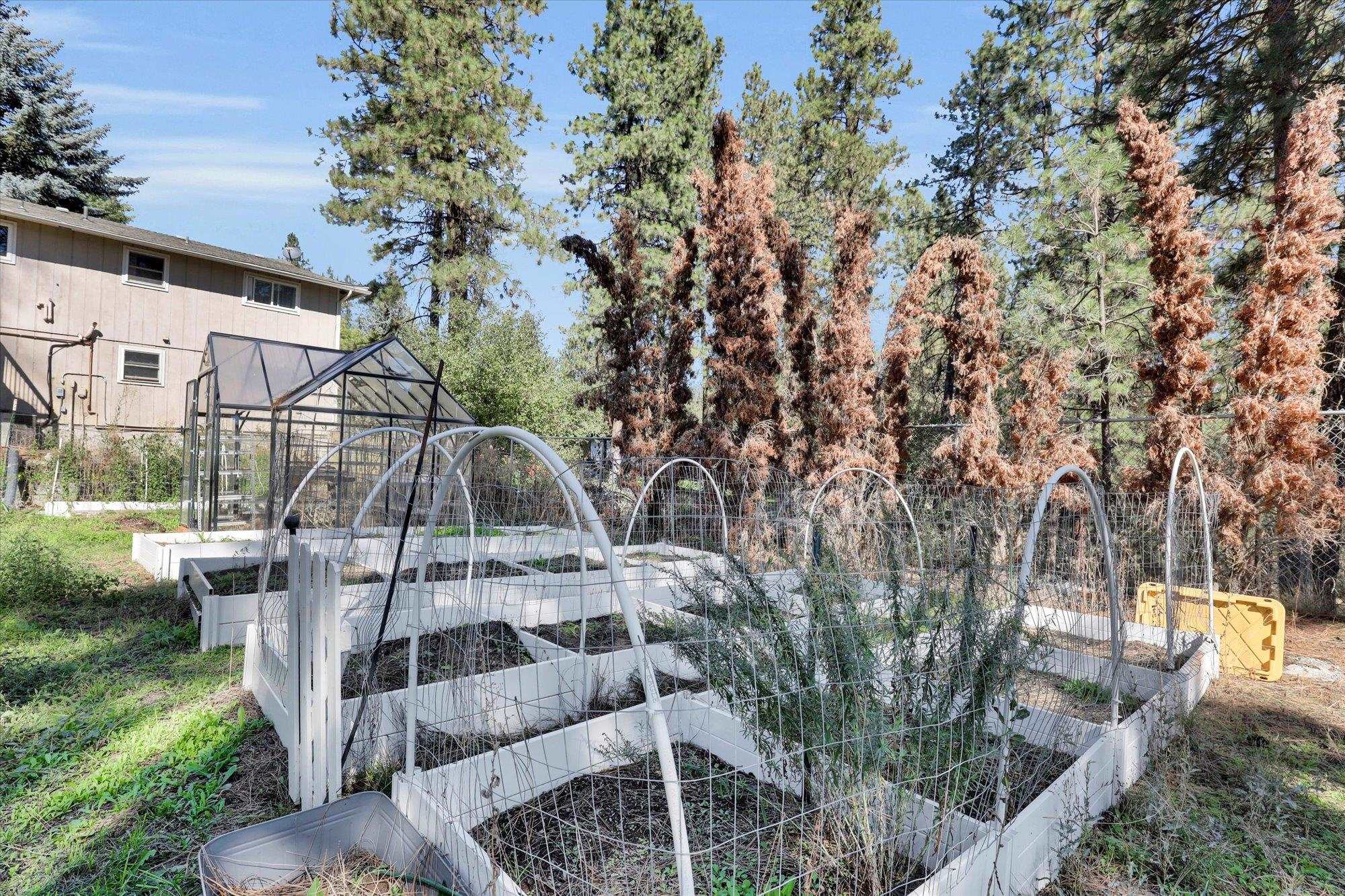 Mead, Washington, 99021, United States, 6 Bedrooms Bedrooms, ,3 BathroomsBathrooms,Residential,For Sale,1958324