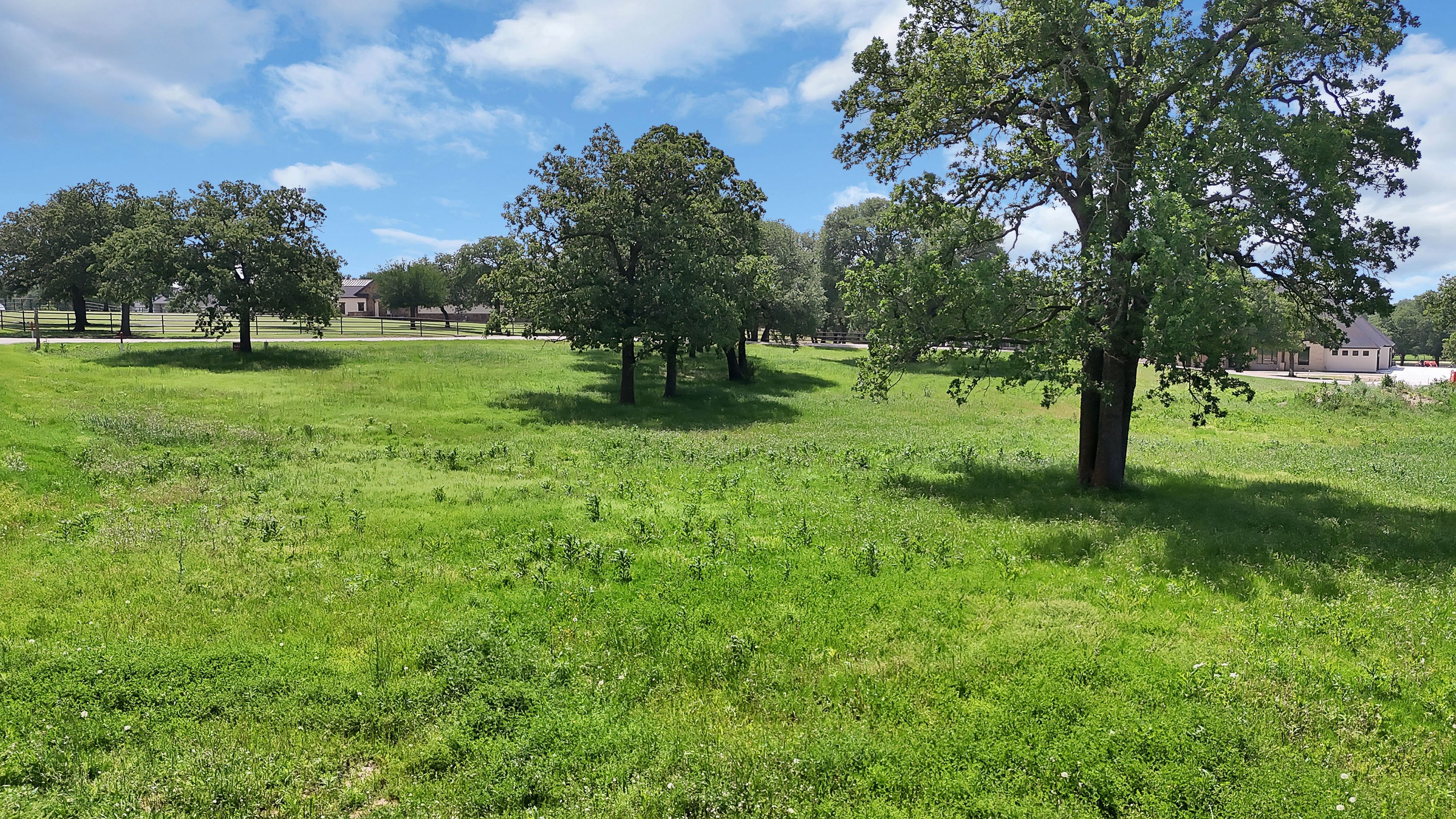  301 Pidgeon Lane, Weatherford, TX, 76087 - 物件實景