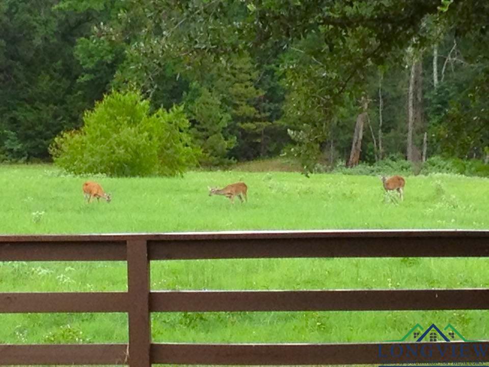 195 CR 1772, Jefferson, Texas, 75657, United States, 3 Bedrooms Bedrooms, ,2 BathroomsBathrooms,Residential,For Sale,195 CR 1772,1542669