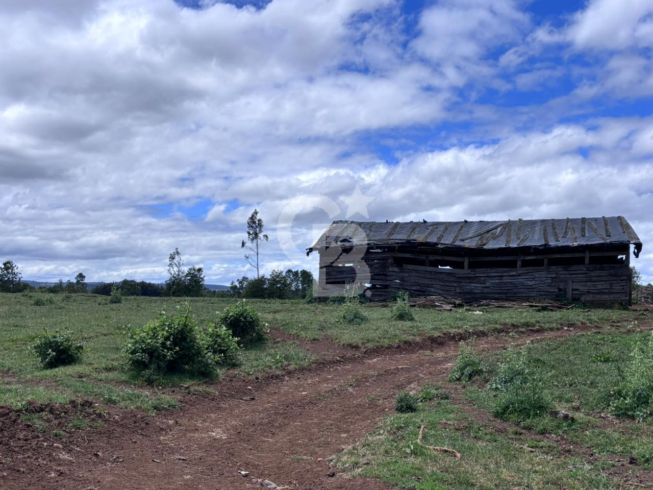 Fresia, Chile, ,Land,For Sale,2003048