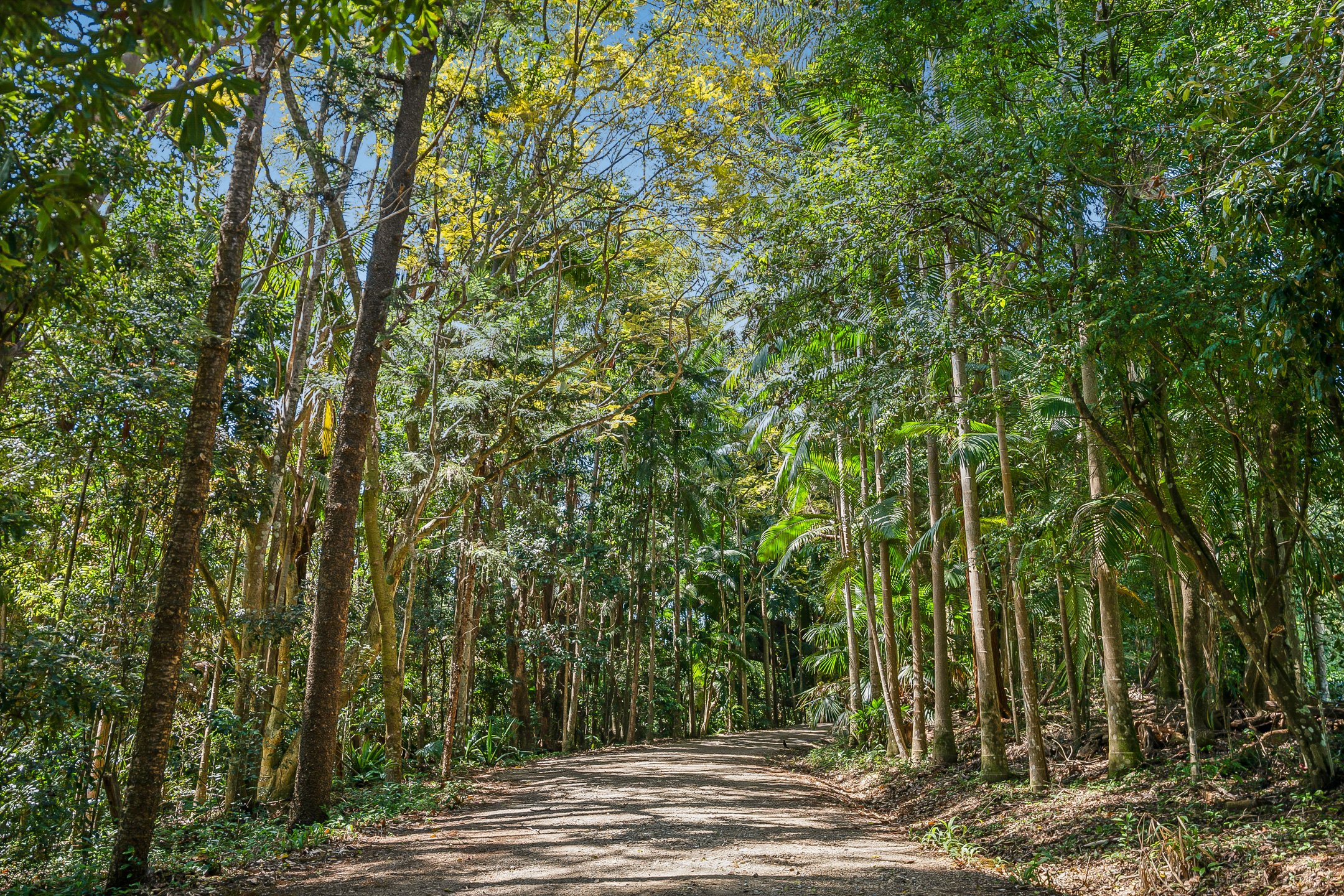  66 Newes Road, Coorabell - 物件實景