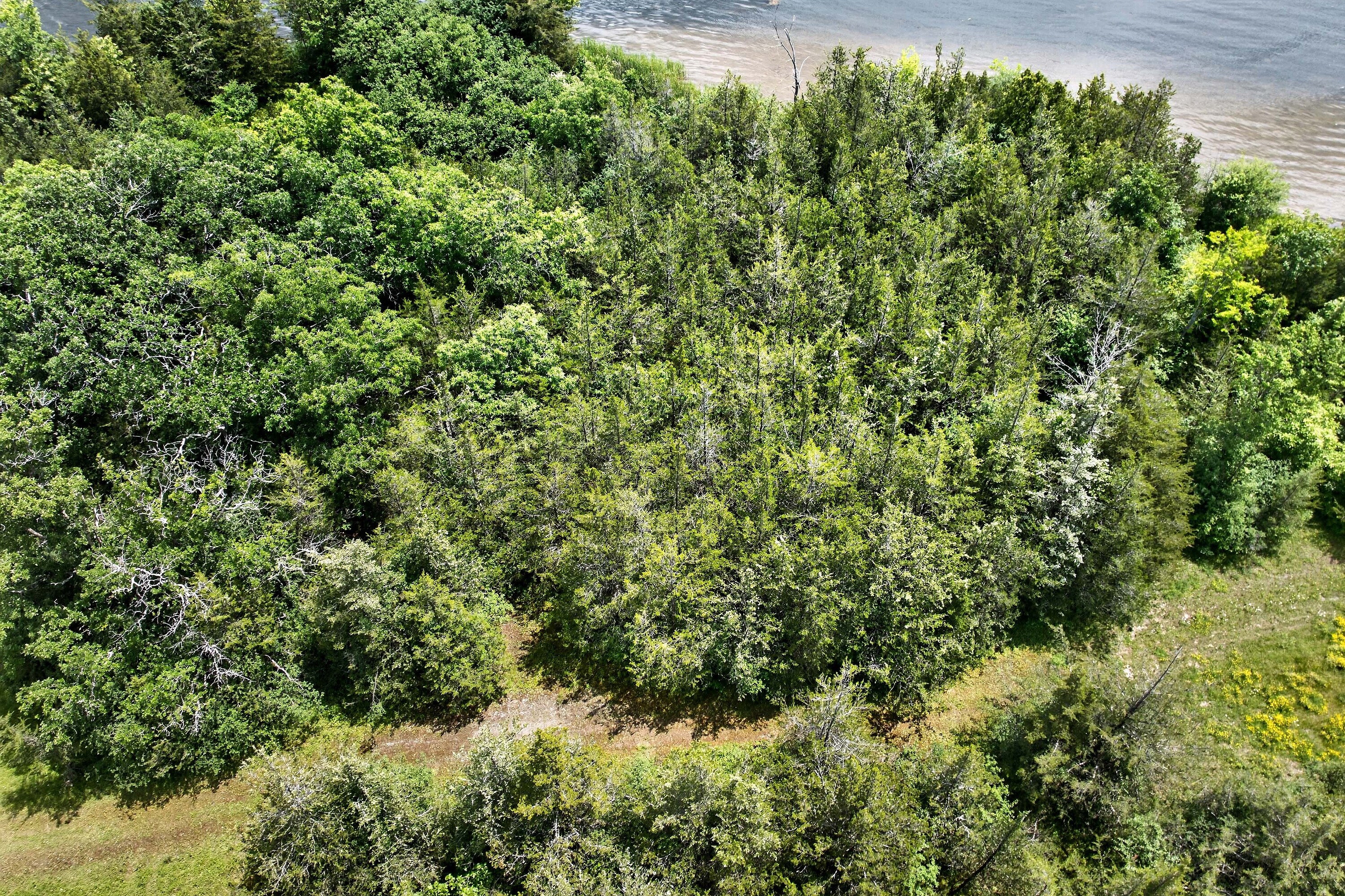  Trent Hills, Eastern Ontario - 物件實景
