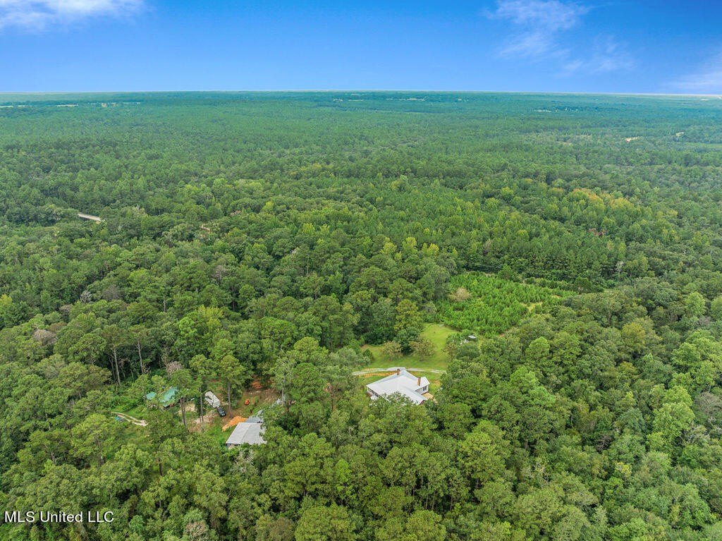 Lucedale, Mississippi, 39452, United States, 3 Bedrooms Bedrooms, ,3 BathroomsBathrooms,Residential,For Sale,1975662